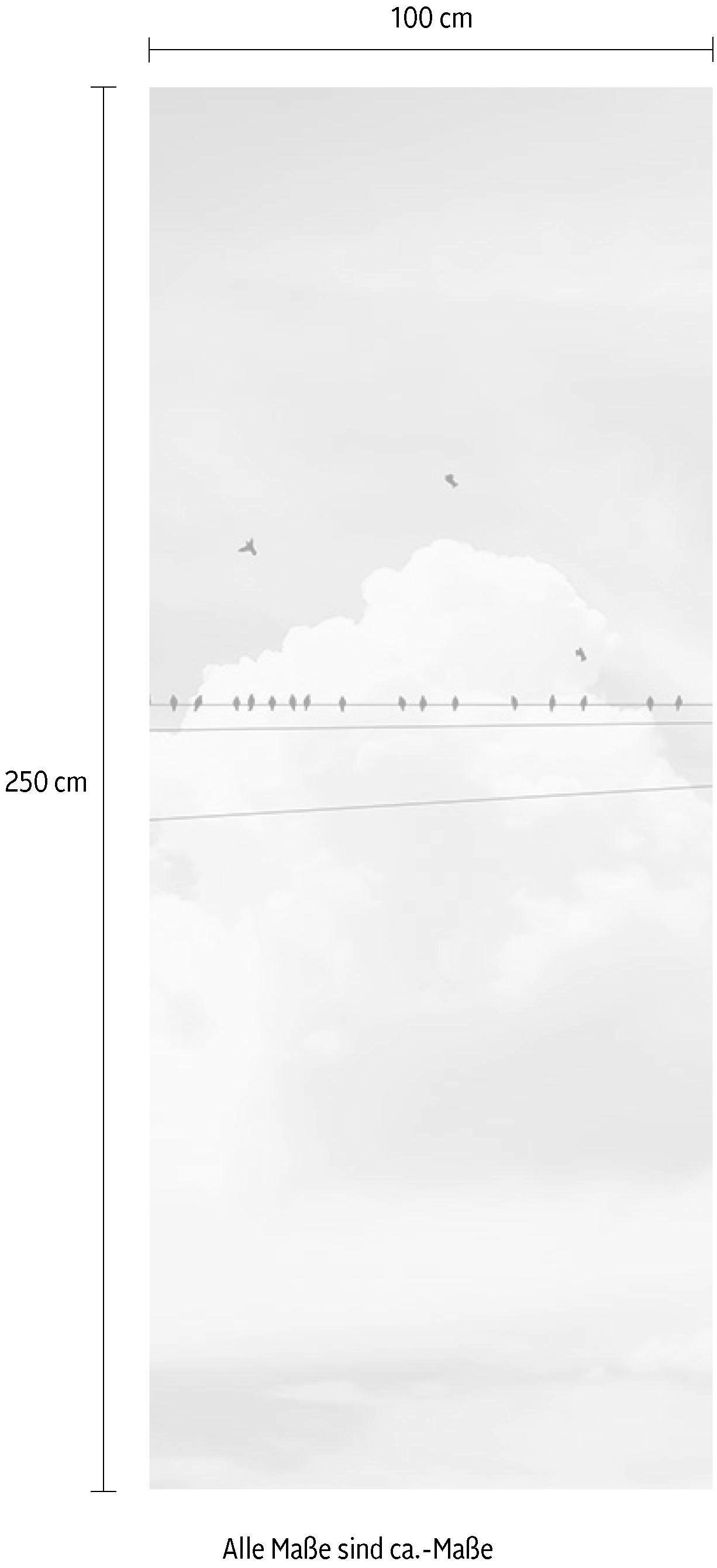Komar Vliestapete »Digitaldruck Vlies - Cloud Wire Panel - Grösse 100 x 250 cm«, bedruckt, Wohnzimmer, Schlafzimmer