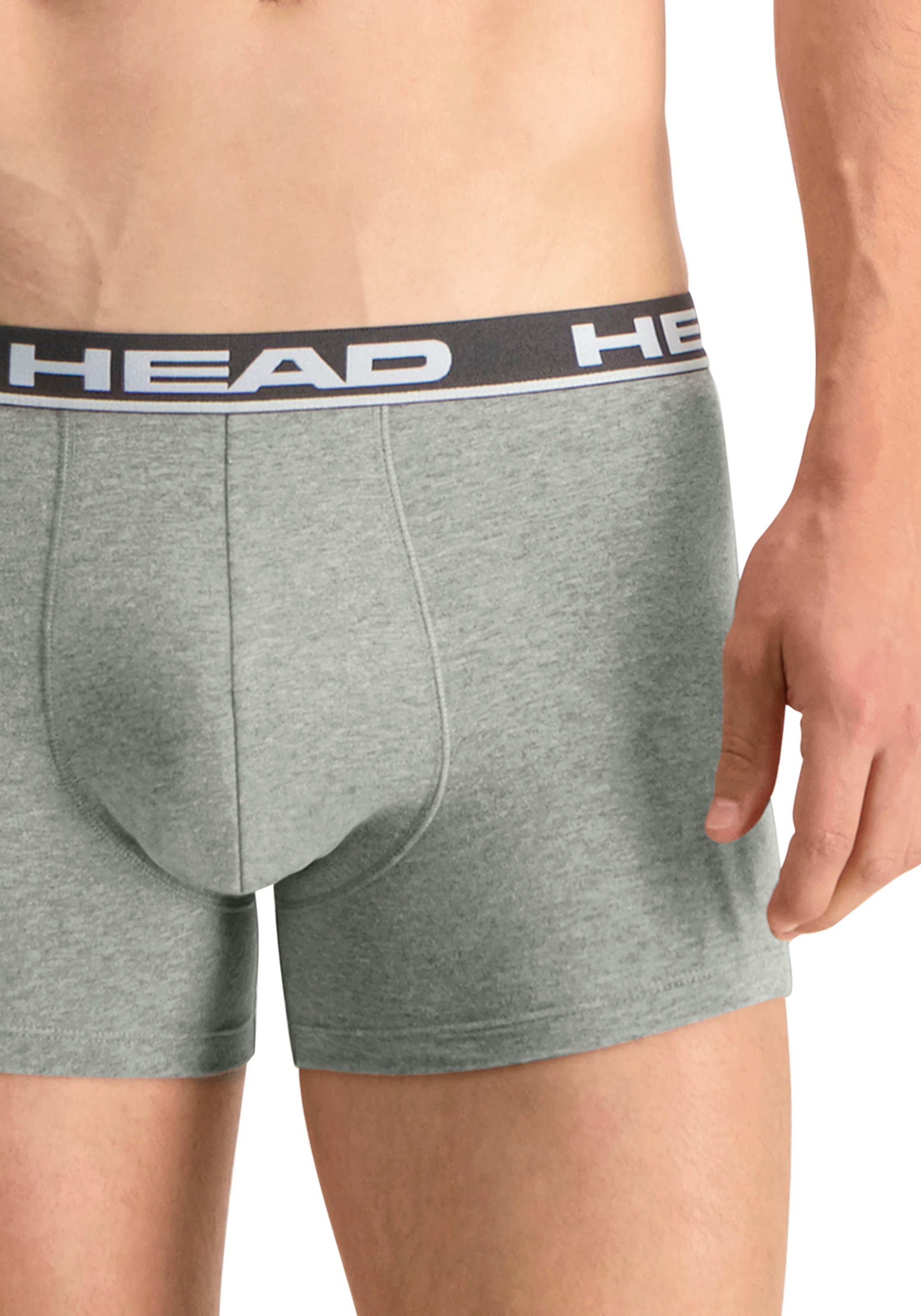 Head Boxershorts »HEAD BASIC BOXER 2P«, (2er Pack), mit elastischem Logobund