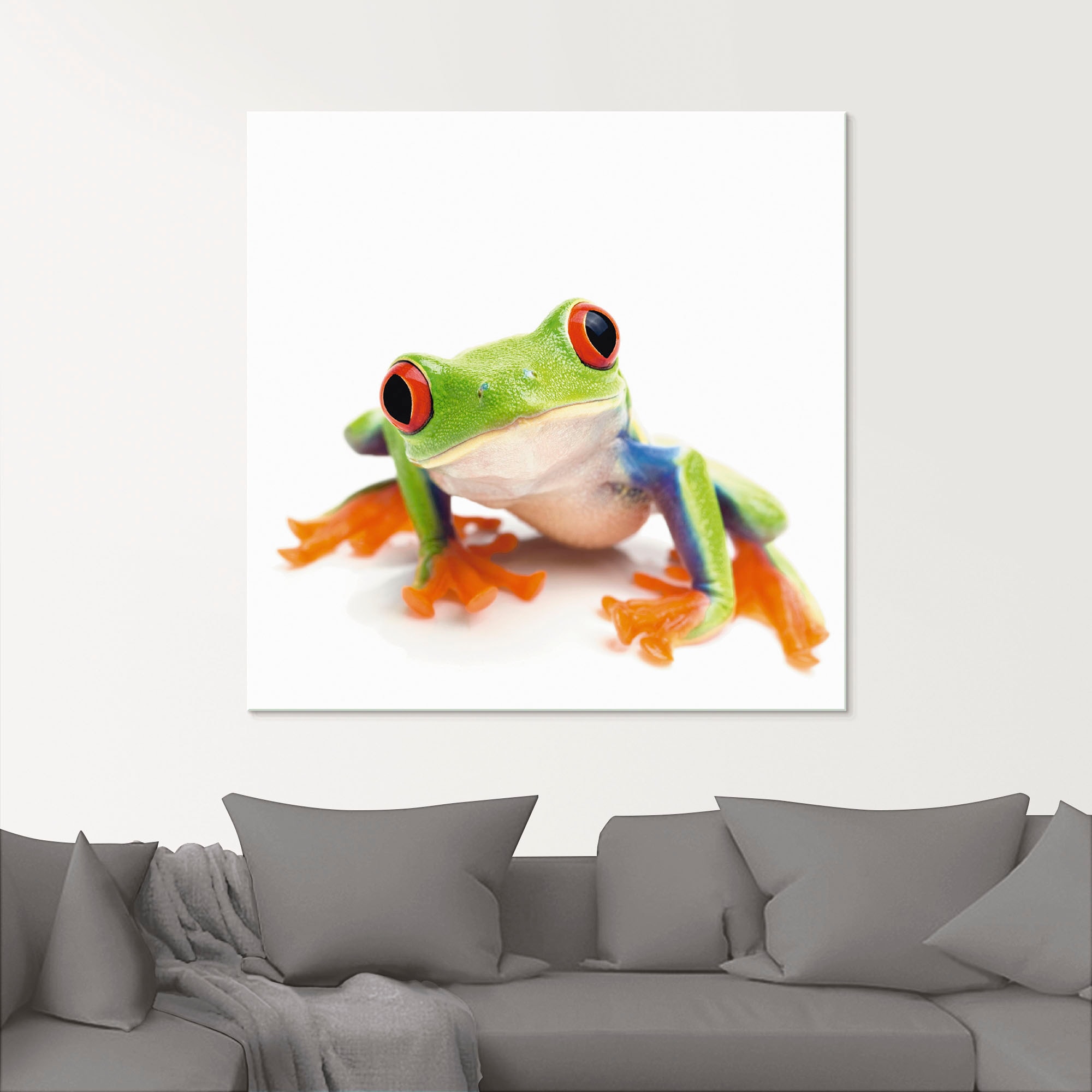 Artland Glasbild »Grossaufnahme eines Frosches vor weiss«, Wassertiere, (1 St.), in verschiedenen Grössen