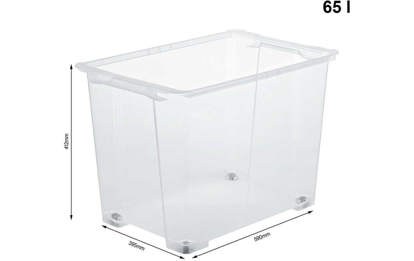 ROTHO Aufbewahrungsbox »EVO EASY«, (3 St.)