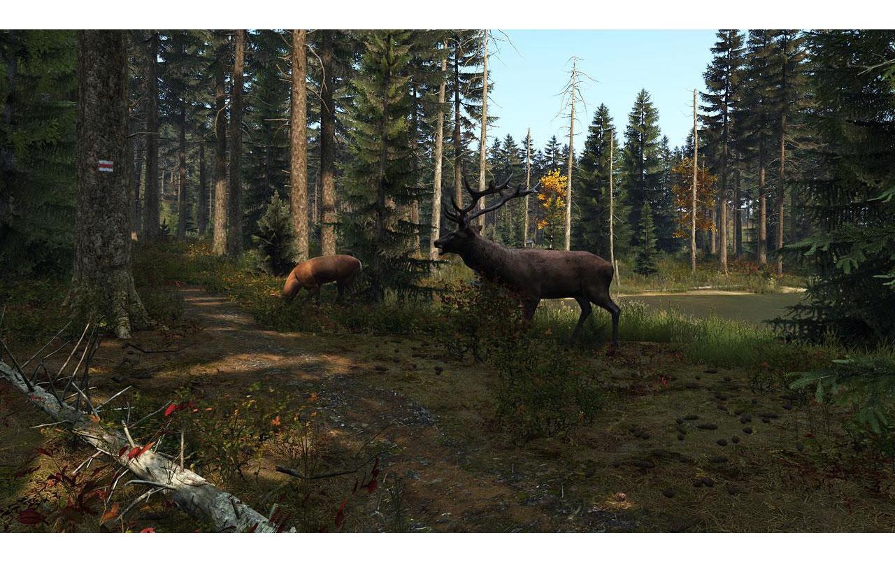 Spielesoftware »DayZ«, PlayStation 4