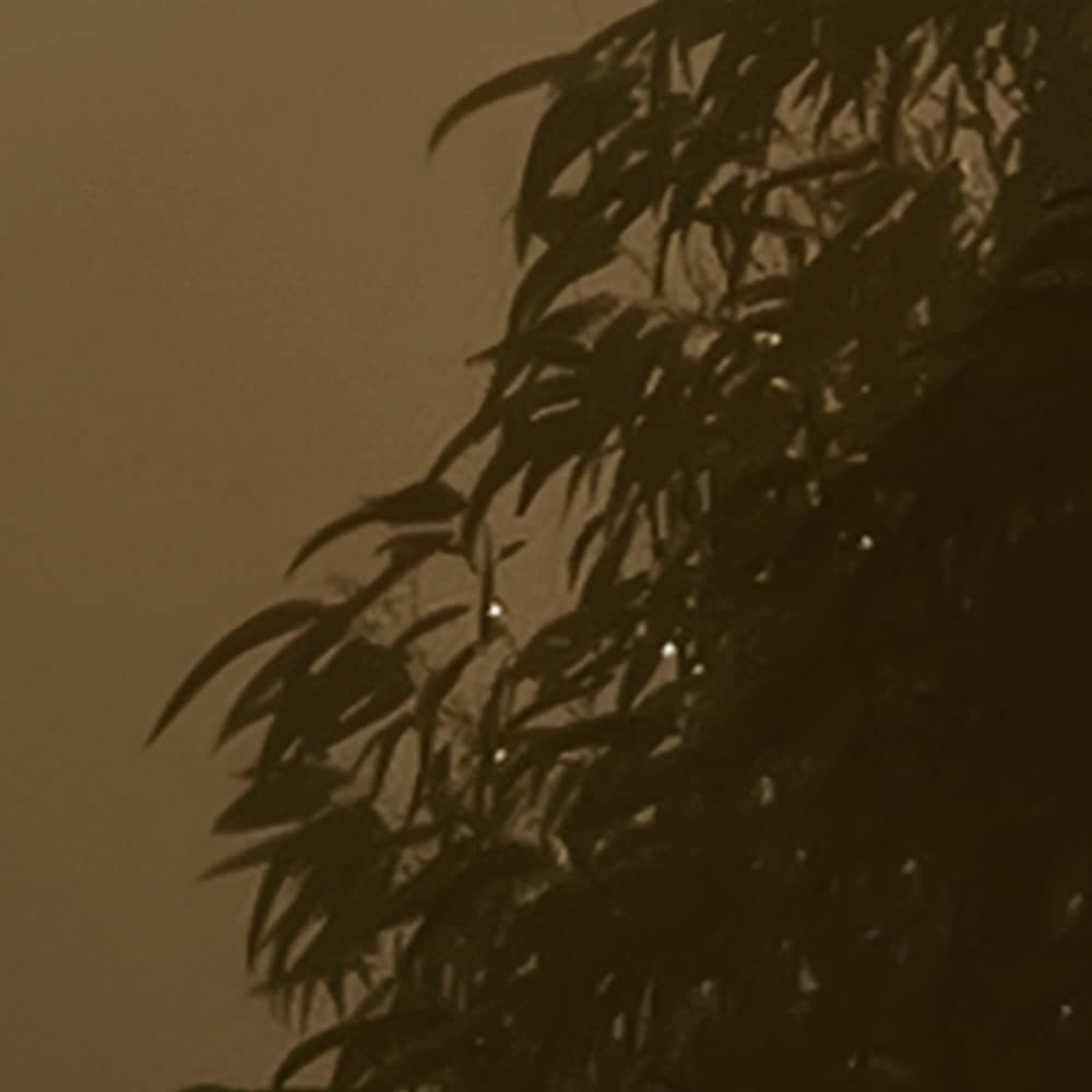 Komar Fototapete »Digitaldruck Vlies - Foggy Sunshine - Grösse 400 x 250 cm«, bedruckt, Wohnzimmer, Schlafzimmer