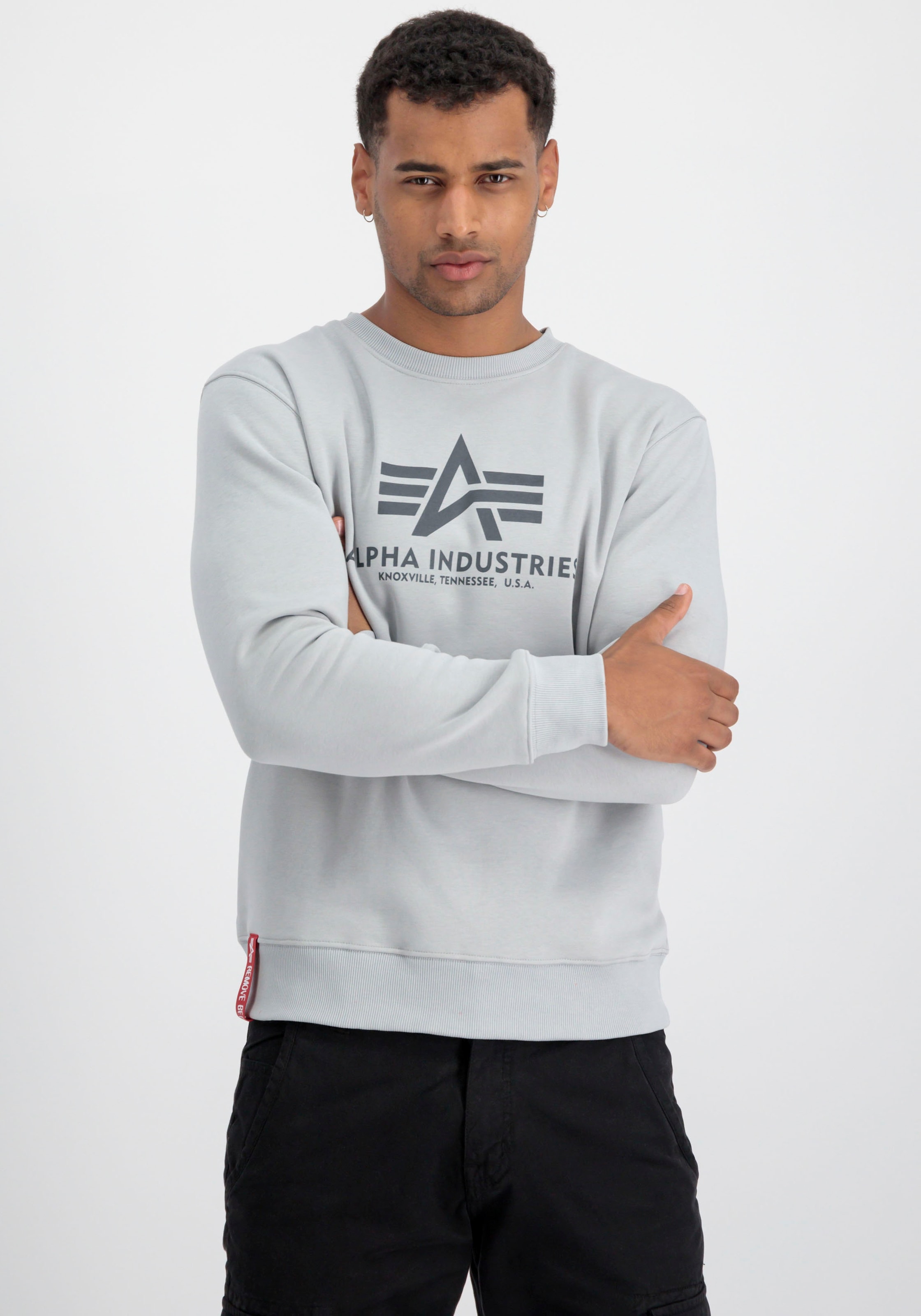 Alpha Industries Sweatshirt »Basic Sweater«