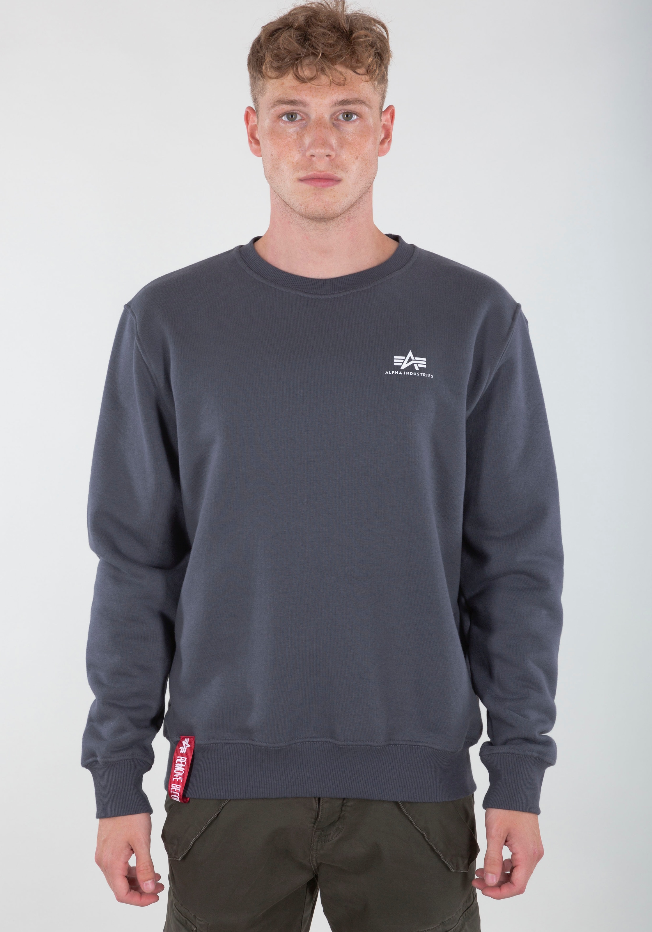 Sweatshirt »Basic Sweater small Logo«