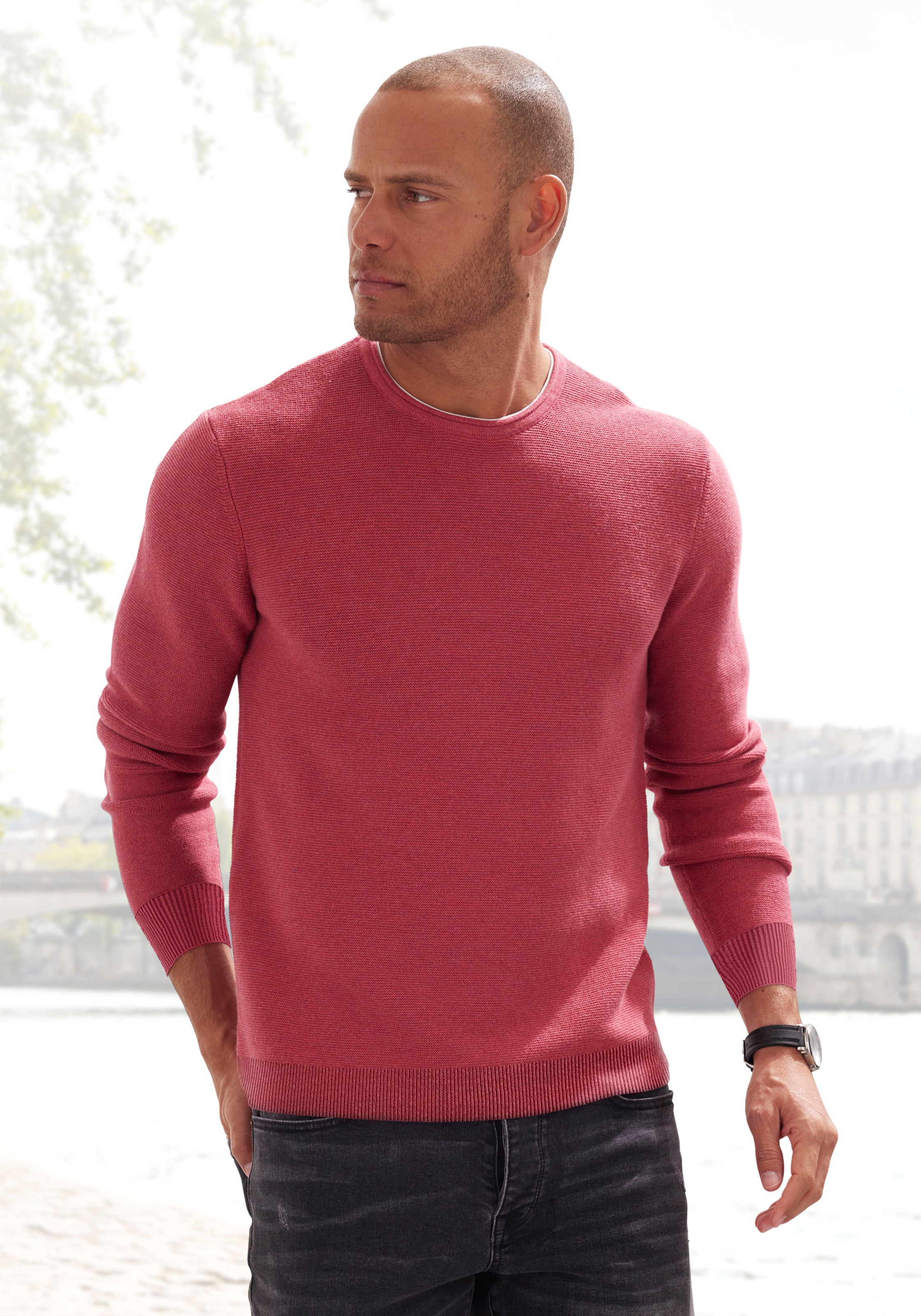 AUTHENTIC LE JOGGER Strickpullover, mit Double-Layer Optik, Pullover aus reiner Baumwolle
