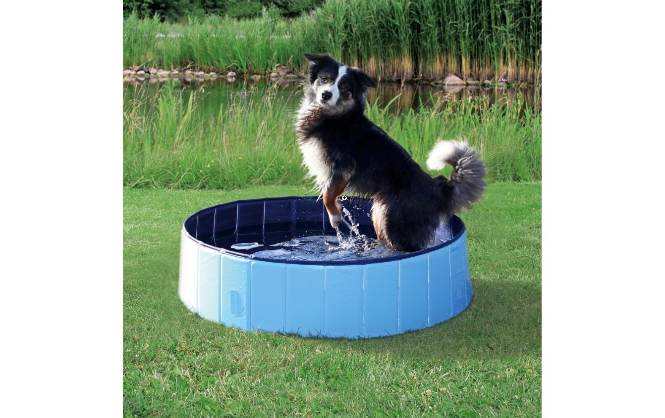TRIXIE Hundepool »Hundepool Garden Ø 160 x 30 cm«
