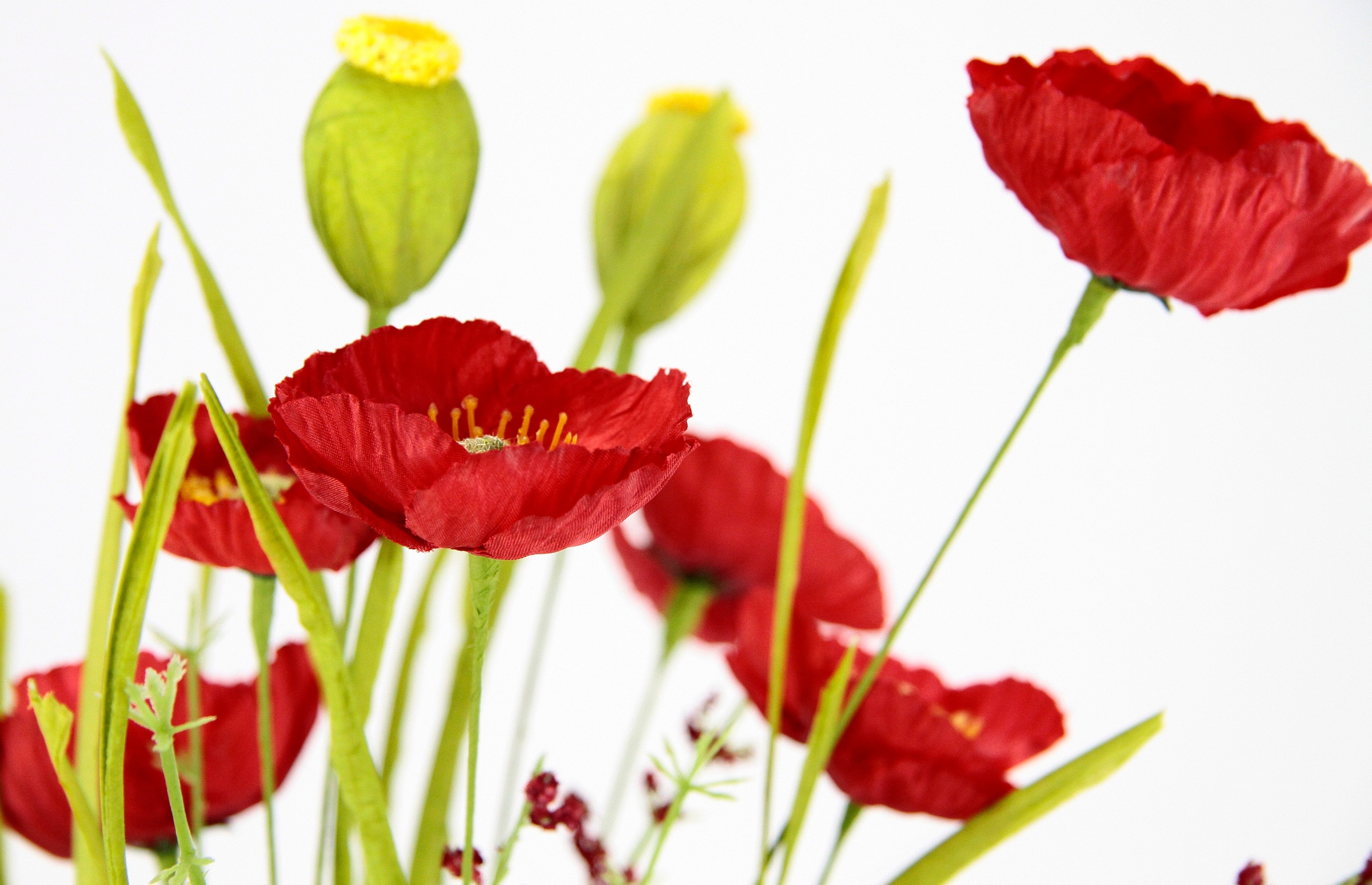 I.GE.A. Kunstblume »Mohnblumenbusch in Vase aus Keramik«, Blumen Mohnblume Mohn Mohnbusch Bouquet Strauss Seidenblumenstrauss