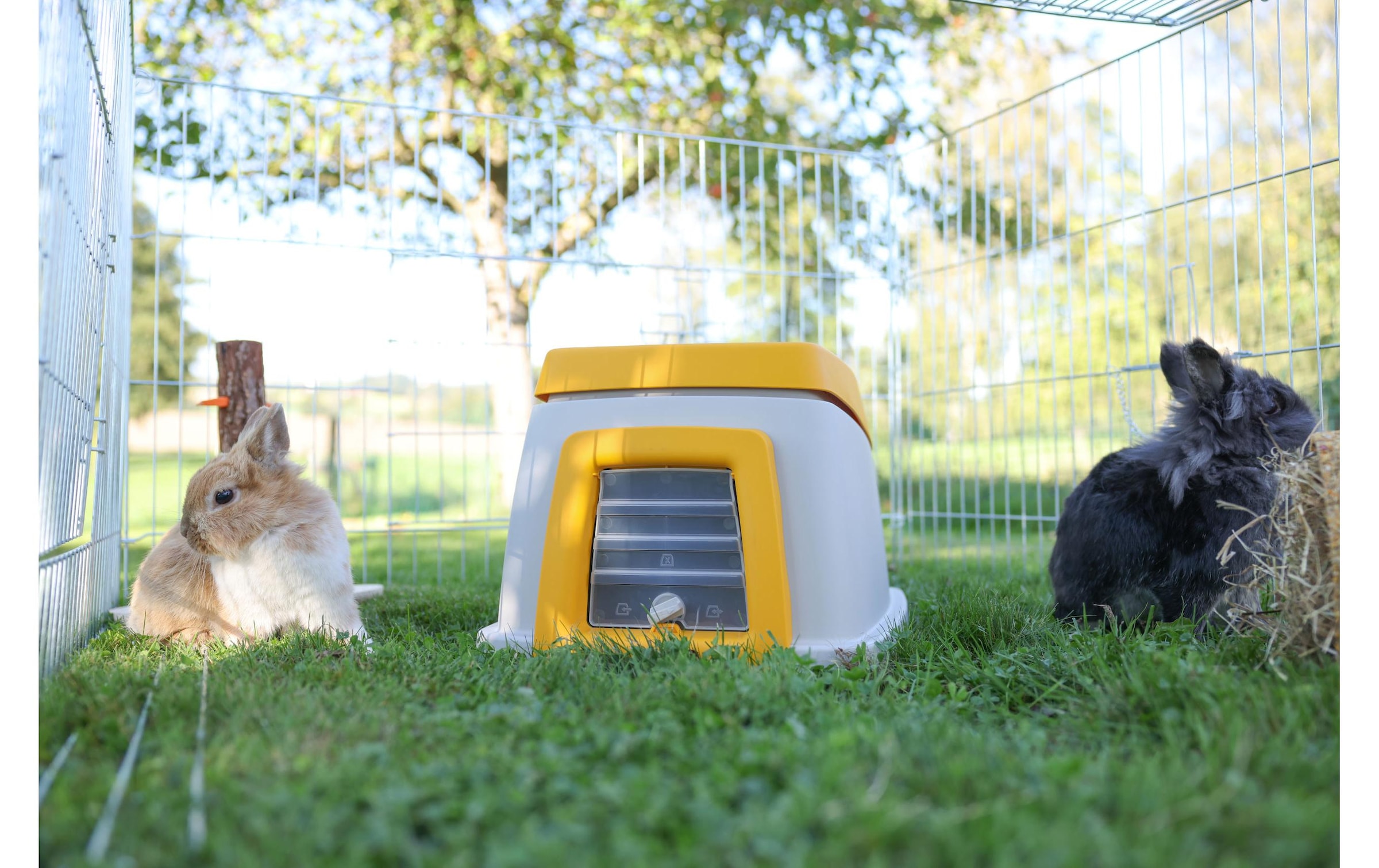 Kerbl Tierhaus »Bunny Base Komplettset«