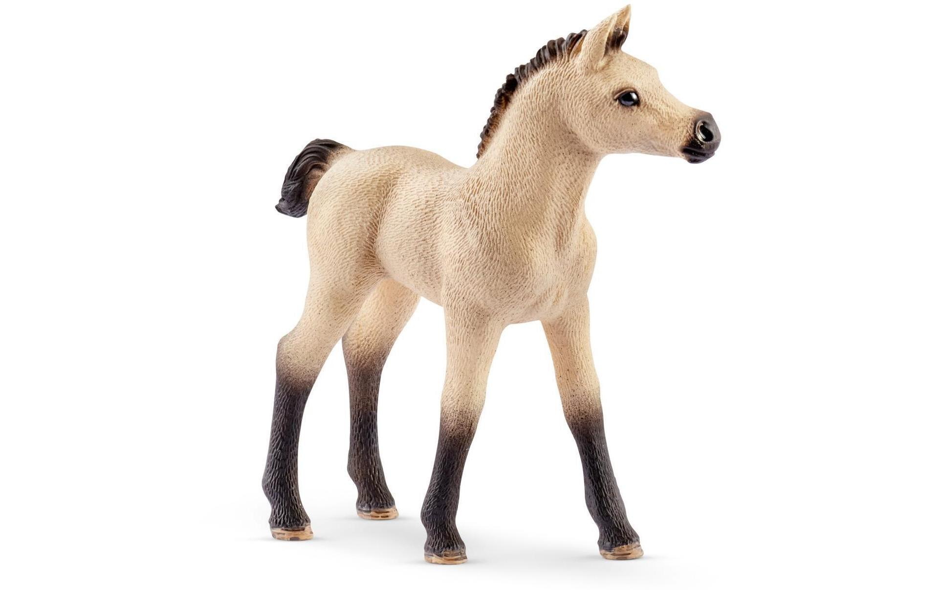 Schleich® Spielwelt »Horse Club Pferdebox mit Araber«