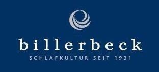 billerbeck Bauchschläferkissen »Terzo 050«, Füllung: 90% neue, europäische Gänsedaunen, silberfarben, 10% Federchen, VSB-Norm, Bezug: 100% Baumwolle, (1 St.)