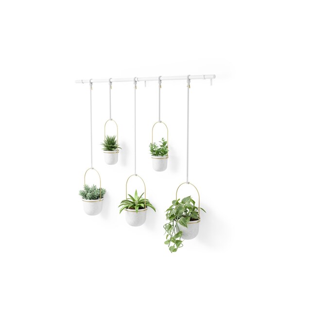 Umbra Blumentopf »Triflora, 5er Set, W-S« online kaufen | Jelmoli-Versand