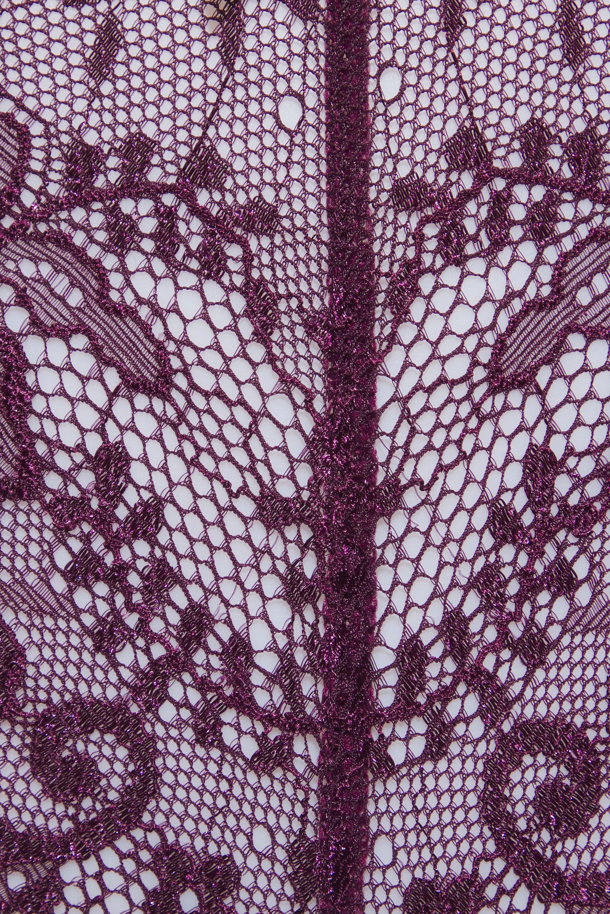 LASCANA String, aus schöner Vollspitze und Schleife