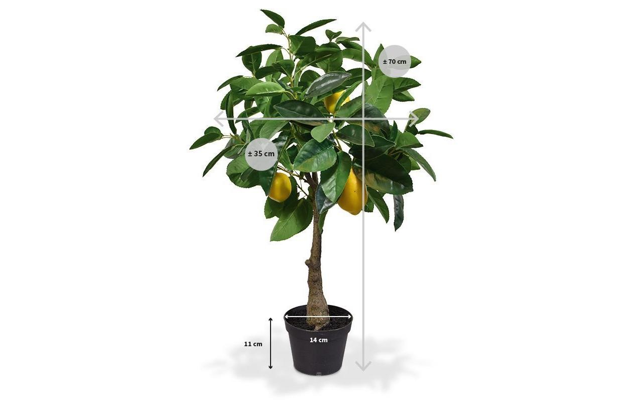 Botanic-Haus Kunstblume »Zitronenbaum 70 cm«