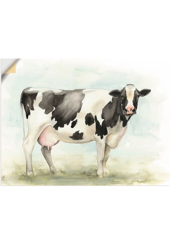 Artland Wandbild »Wasserfarben Kuh I«, Haustiere, (1 St.), in vielen Grössen &... kaufen