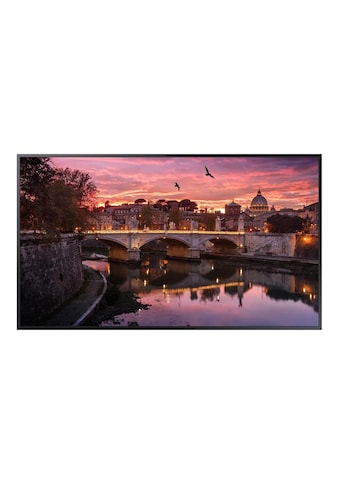 Samsung LCD-LED Fernseher »QB50B«, 126,5 cm/50 Zoll, 4K Ultra HD kaufen