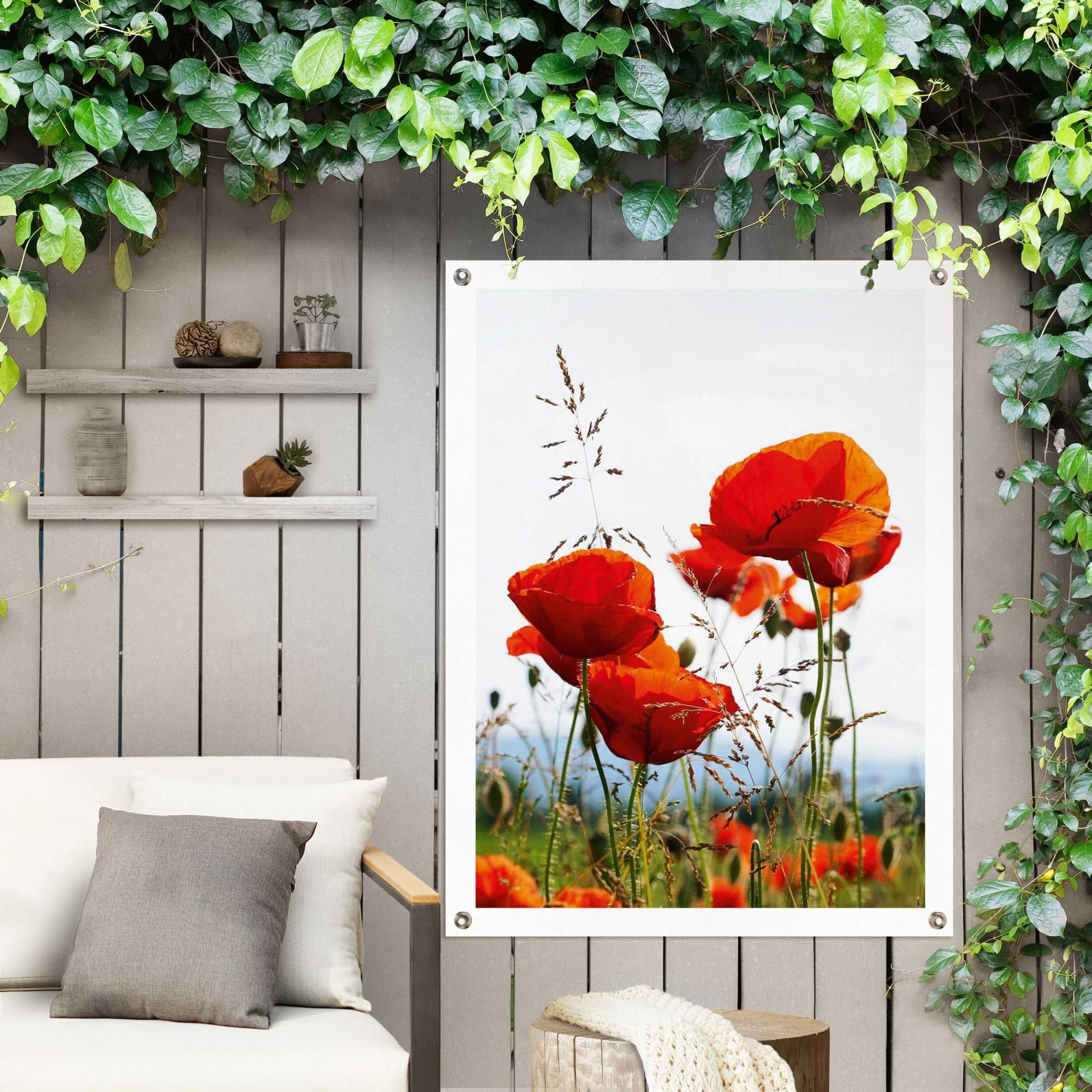 »Mohnblumen«, online Garten | Poster Jelmoli-Versand Outdoor für Balkon shoppen oder Reinders!