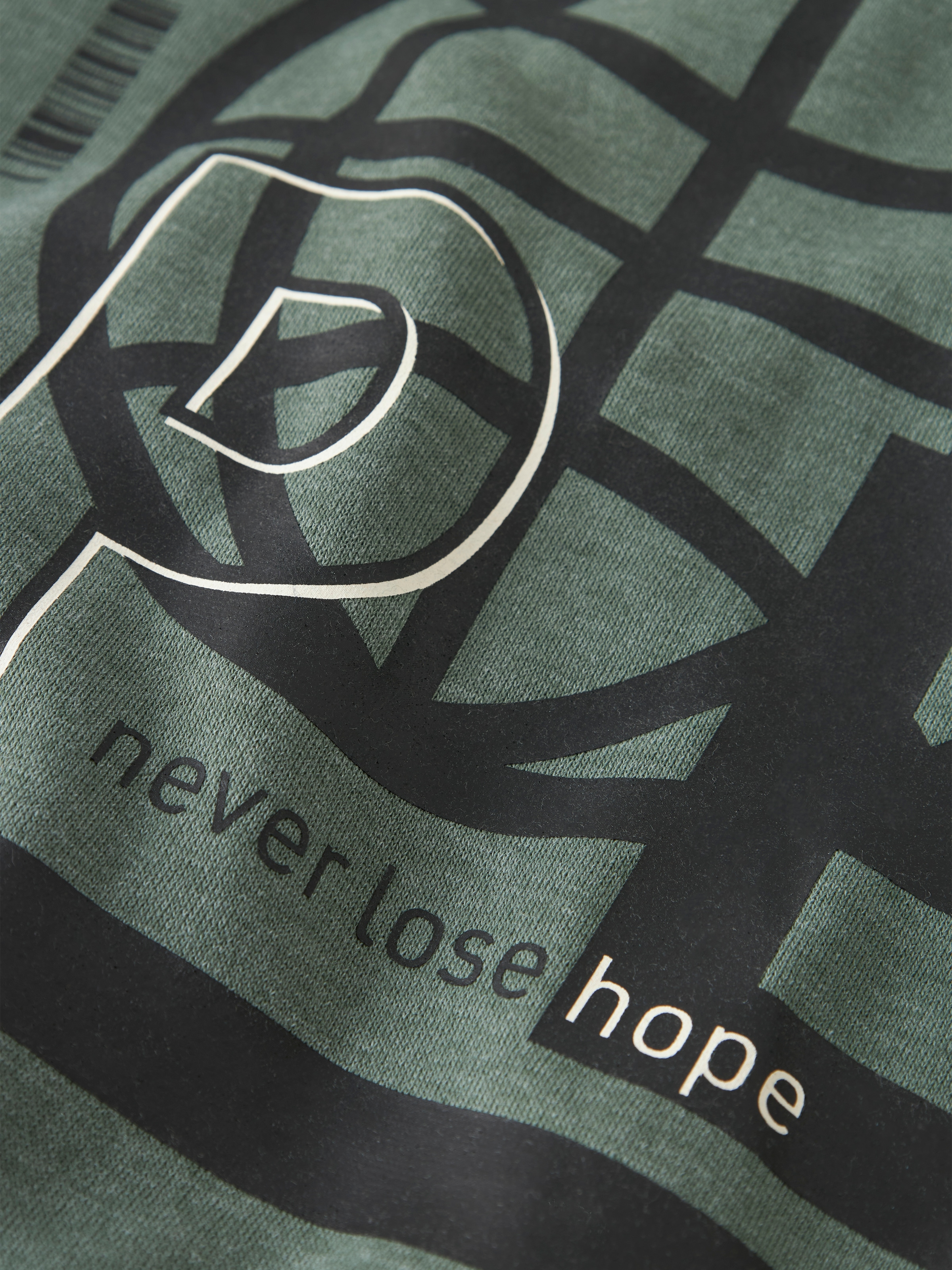 Name It Sweatshirt »NKMOLAF LS NREG SWE WH BRU PB«
