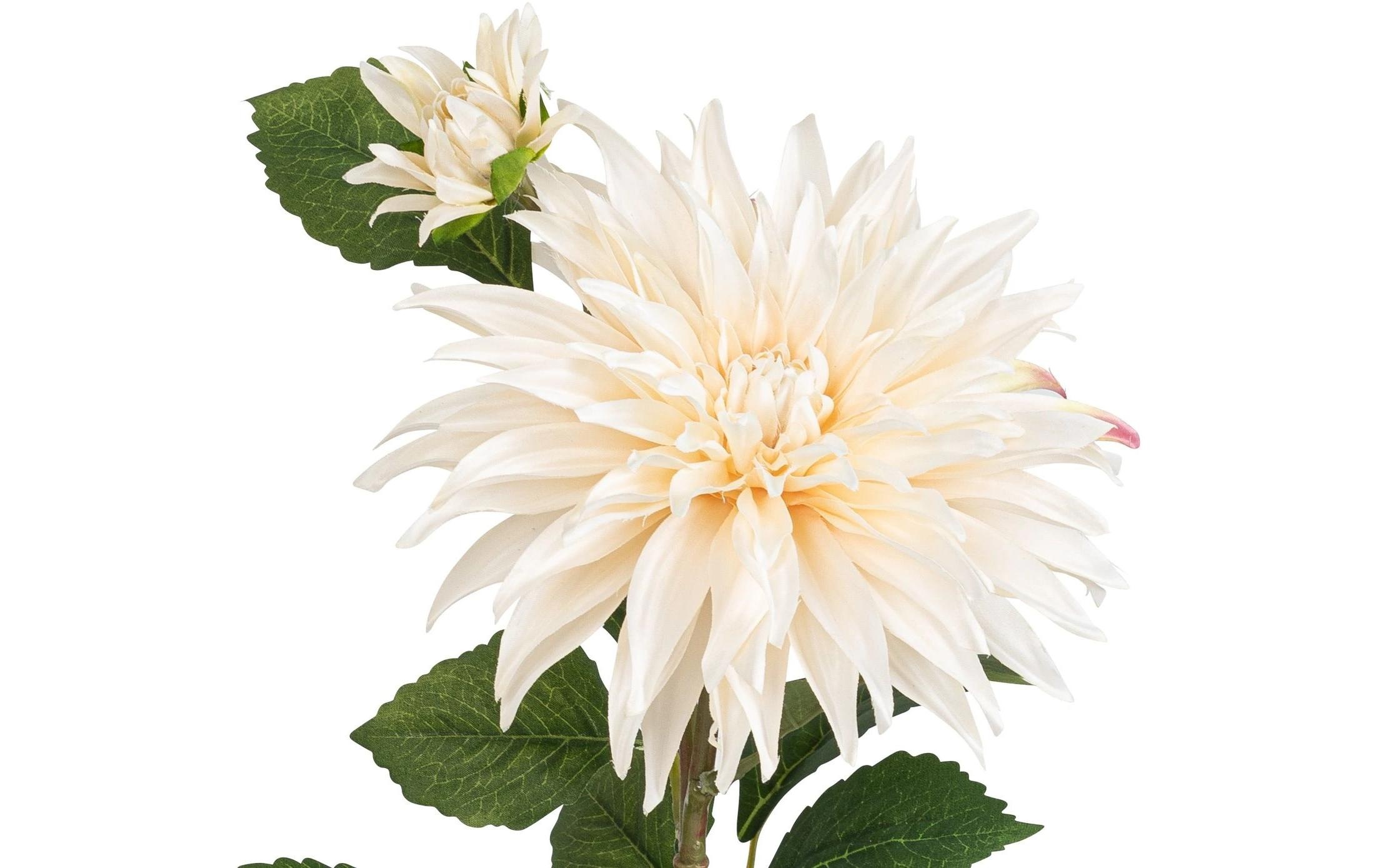 Botanic-Haus Kunstblume »Dahlie, 85 cm«