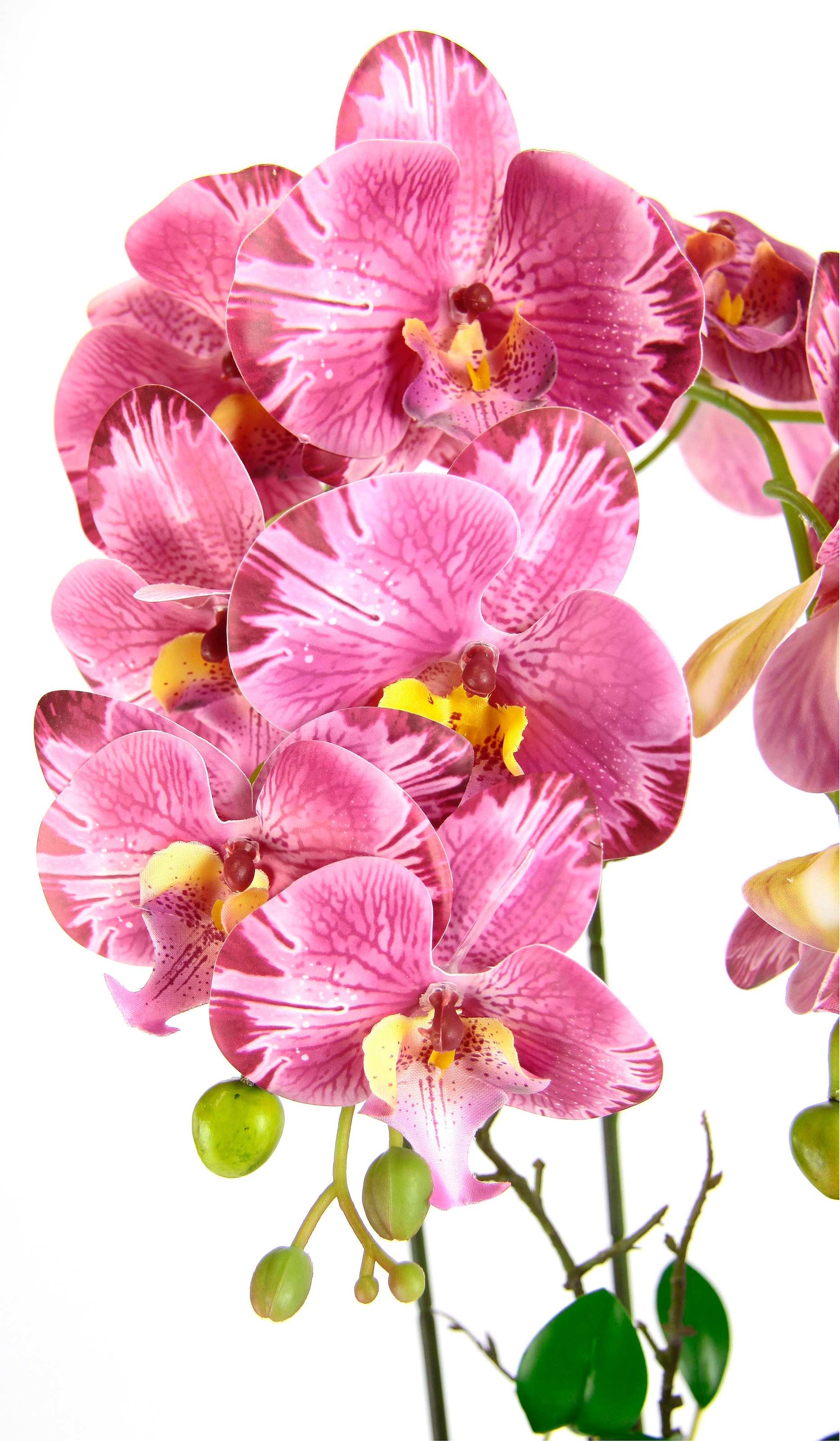 Im Hochzeit »Orchidee«, Jelmoli-Versand mit Orchidee Übertopf shoppen I.GE.A. Topf Phalaenopsis online Phalaenopsis | Kunstblume