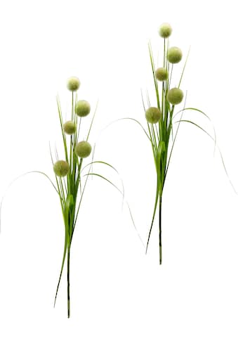 I.GE.A. Kunstpflanze »Allium im Gras«, (2 St.), Dekozweig, 2er Set kaufen
