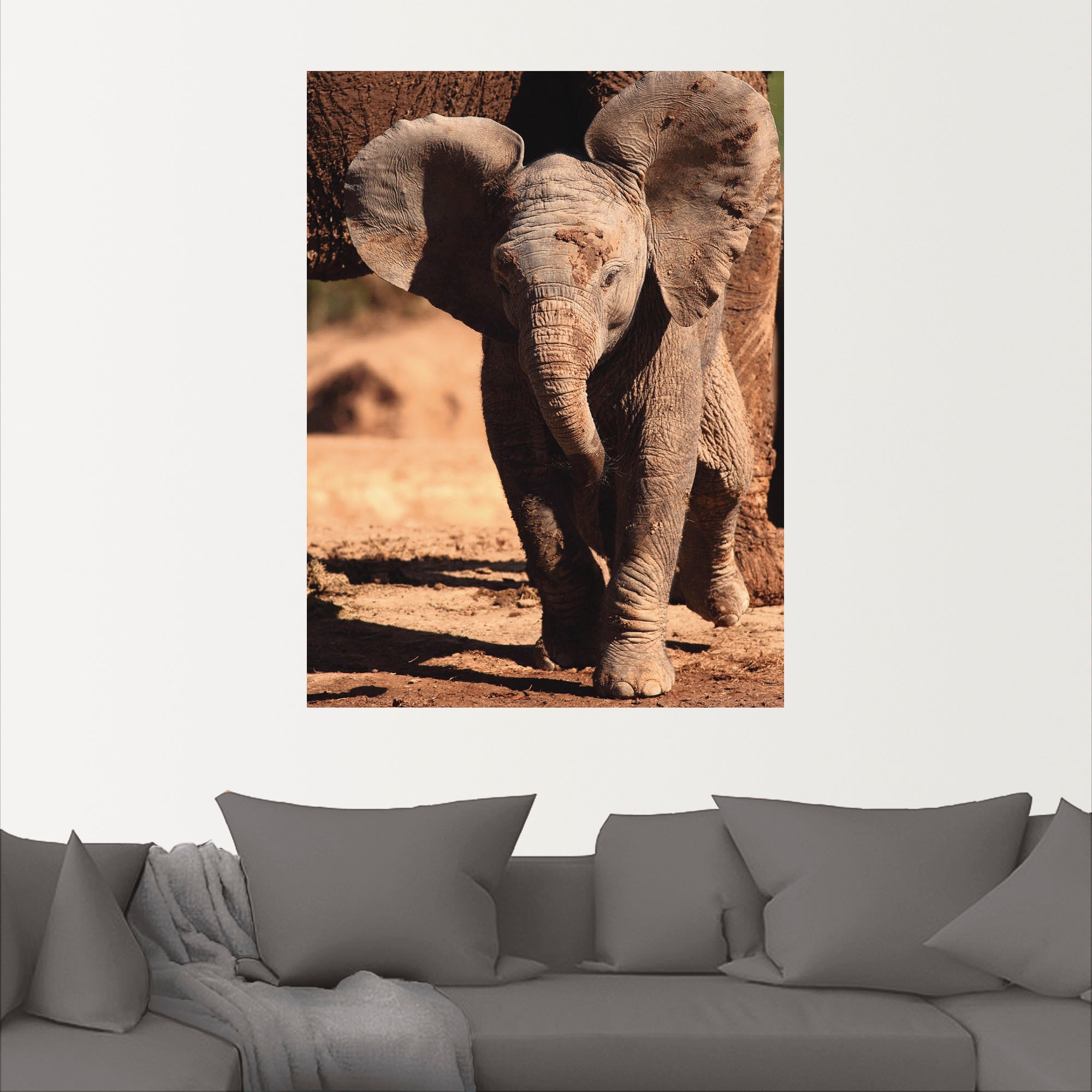 (1 kaufen als oder Wildtiere, Poster St.), Grössen Wandaufkleber Jelmoli-Versand | Leinwandbild, Alubild, in versch. »Elefantenbaby«, online Wandbild Artland