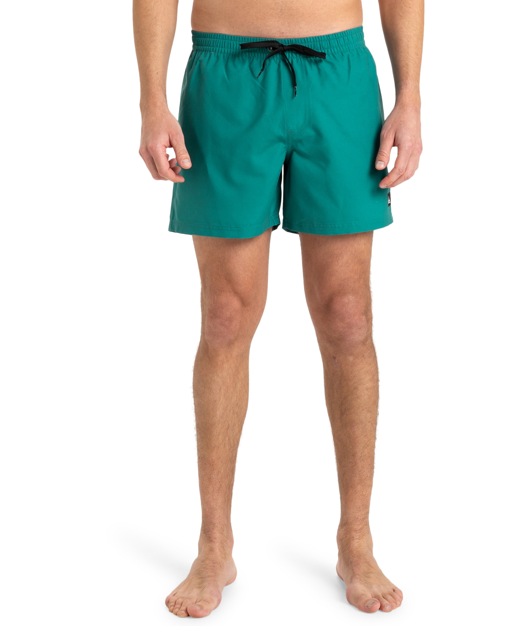 Quiksilver Badeshorts »EVERYDAY VOLLEY 15«, (1 St.)