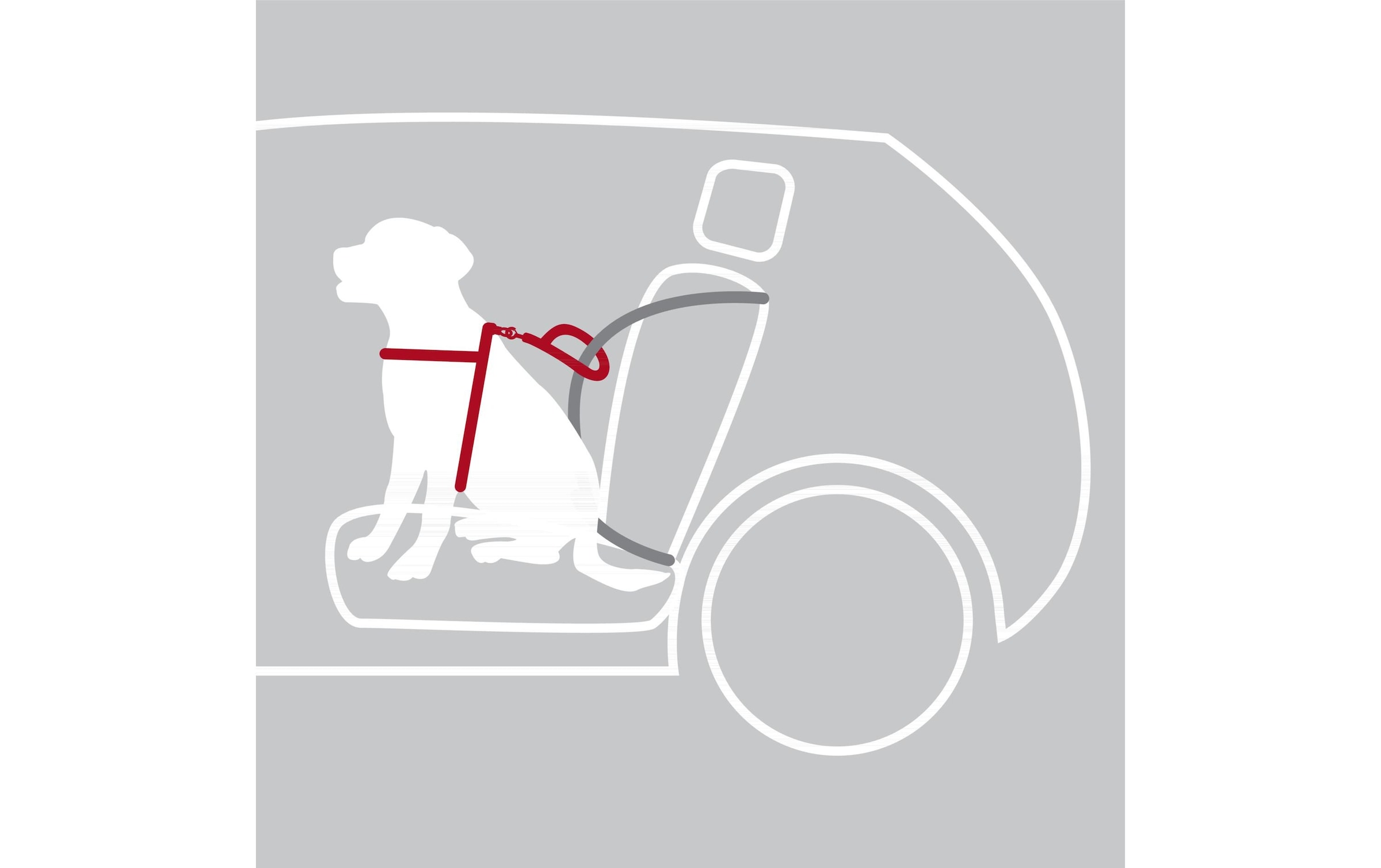 TRIXIE Hunde-Geschirr »Trixie Auto-Geschirr Dog Protect«, Nylon