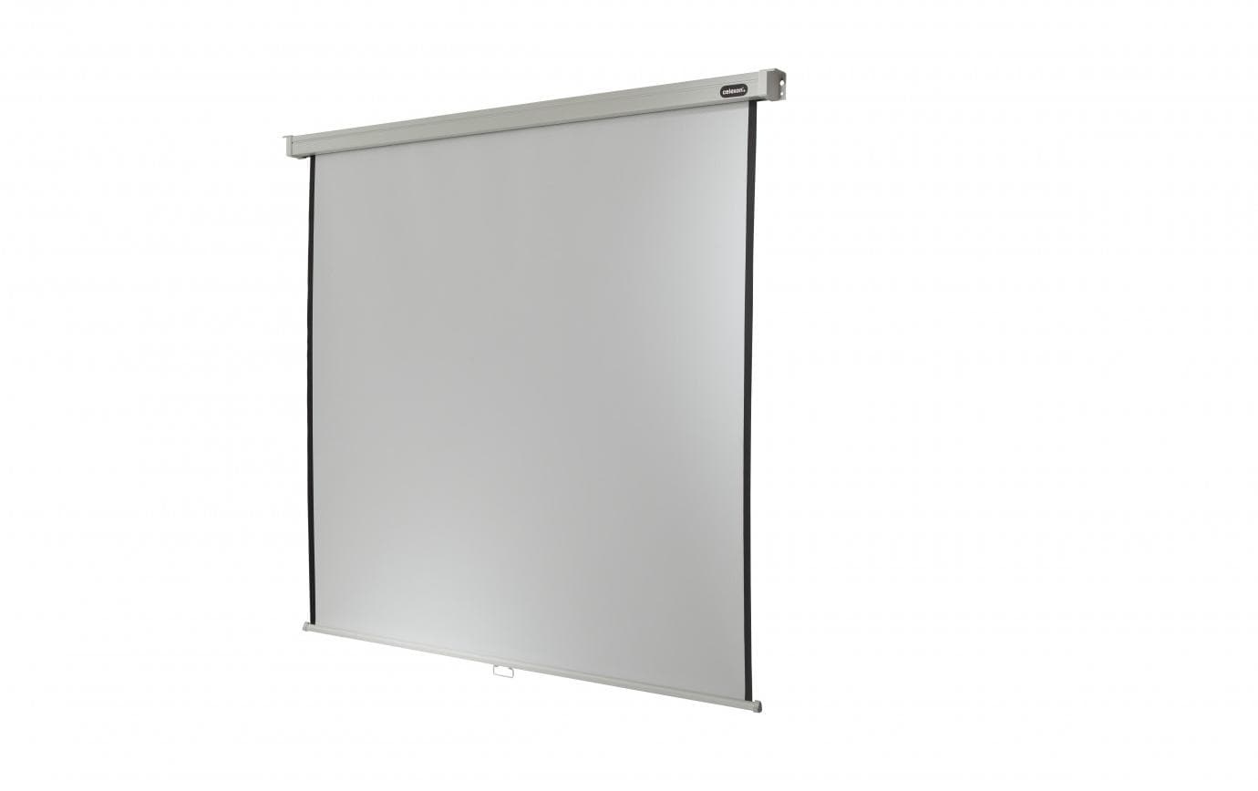 Celexon Rolloleinwand »Professional Plus 240x240 cm«