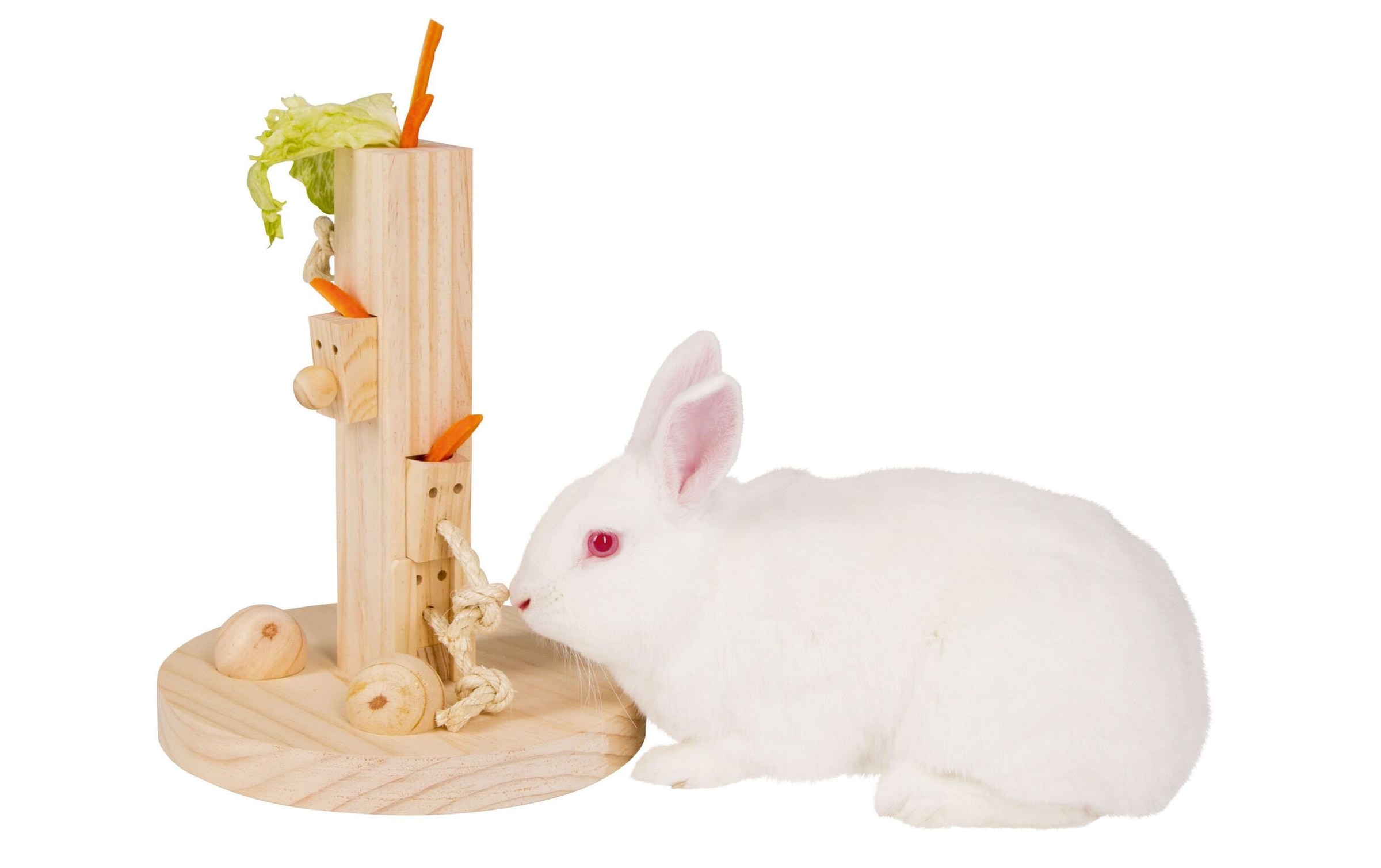 Kerbl Tier-Intelligenzspielzeug »Denk- und Lernspielzeug Feedtree, 30 cm, Holz«