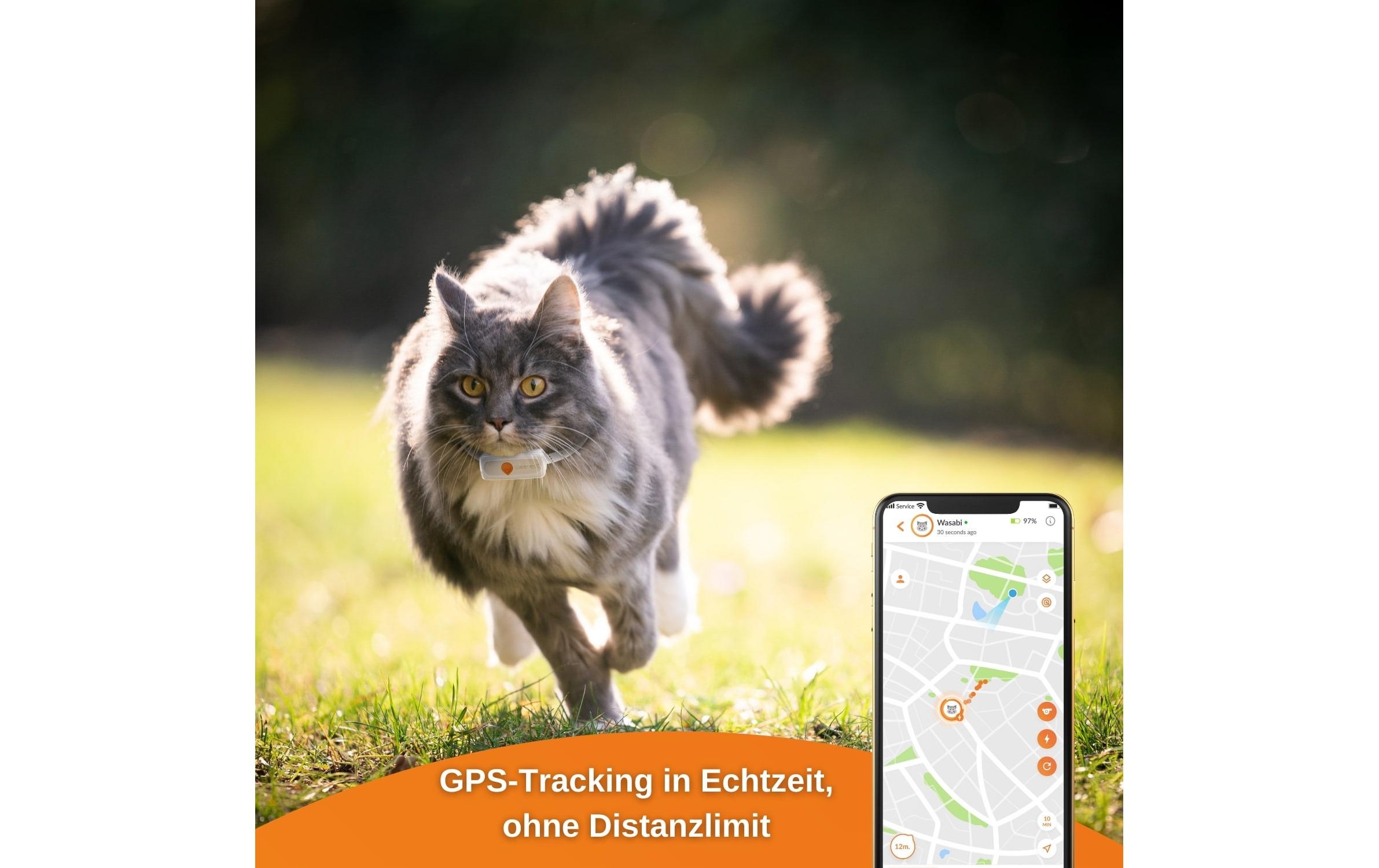 GPS-Tracker »Weenect XS für Katzen Weiss«