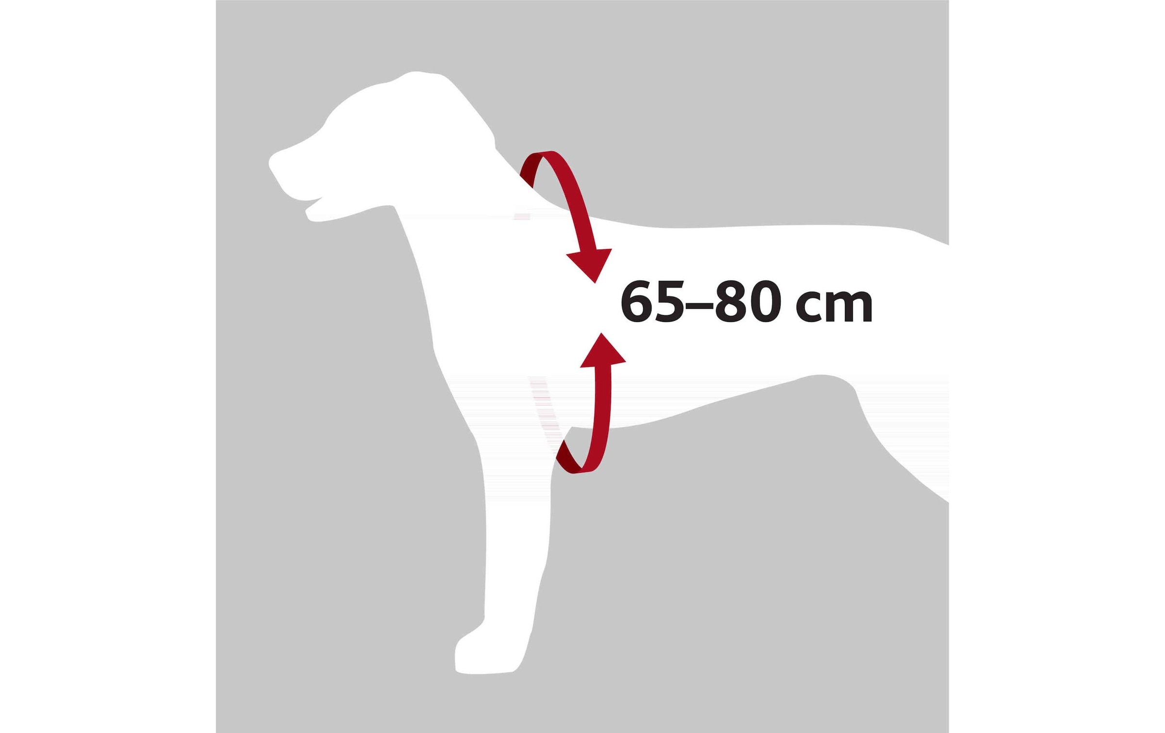 TRIXIE Hunde-Geschirr »Trixie Auto-Geschirr Dog Protect«, Nylon