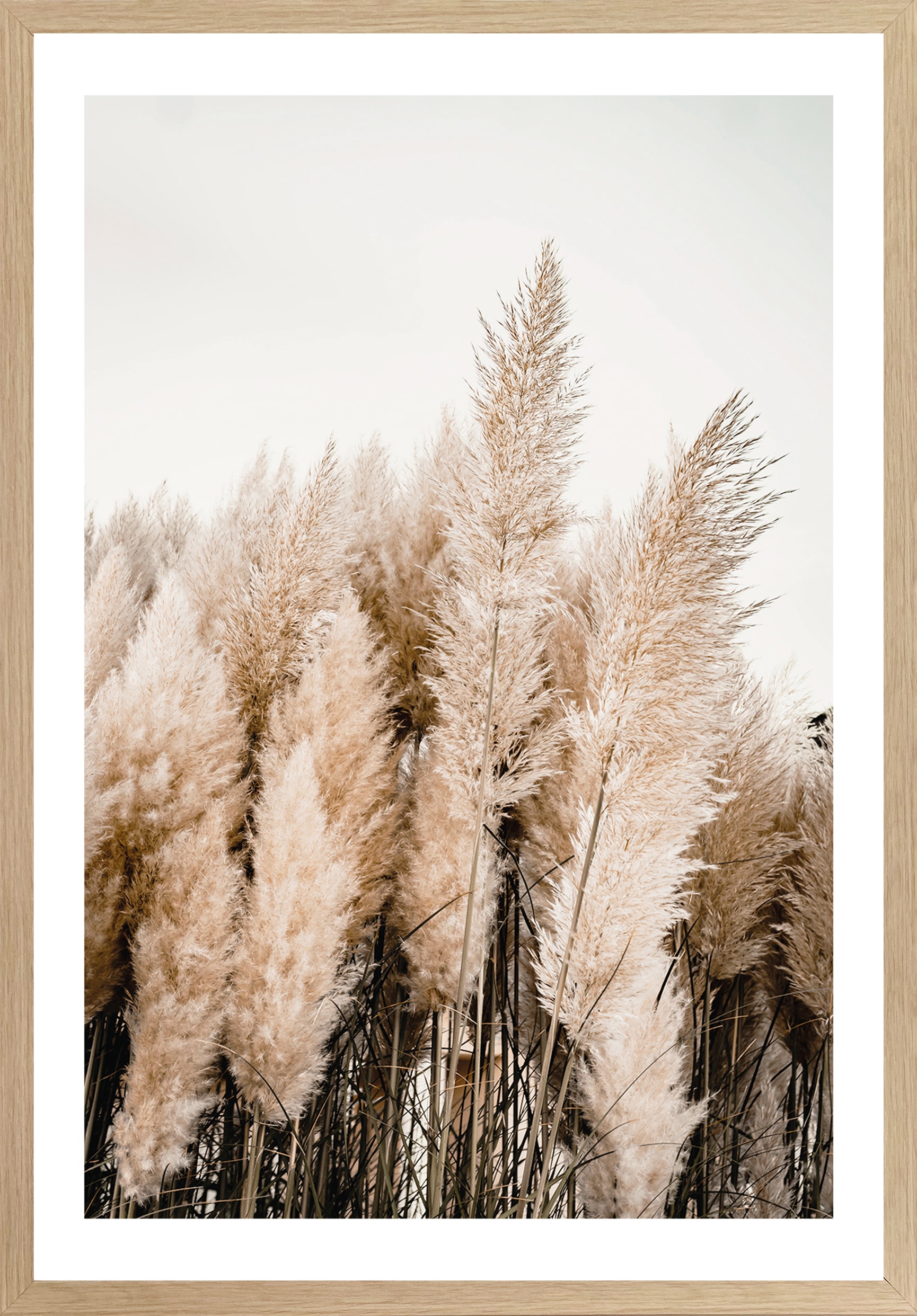 Bönninghoff Bild mit Rahmen »Trockenblumen«, Gräser, (1 St.), BxH: 50x70 cm  online bestellen | Jelmoli-Versand