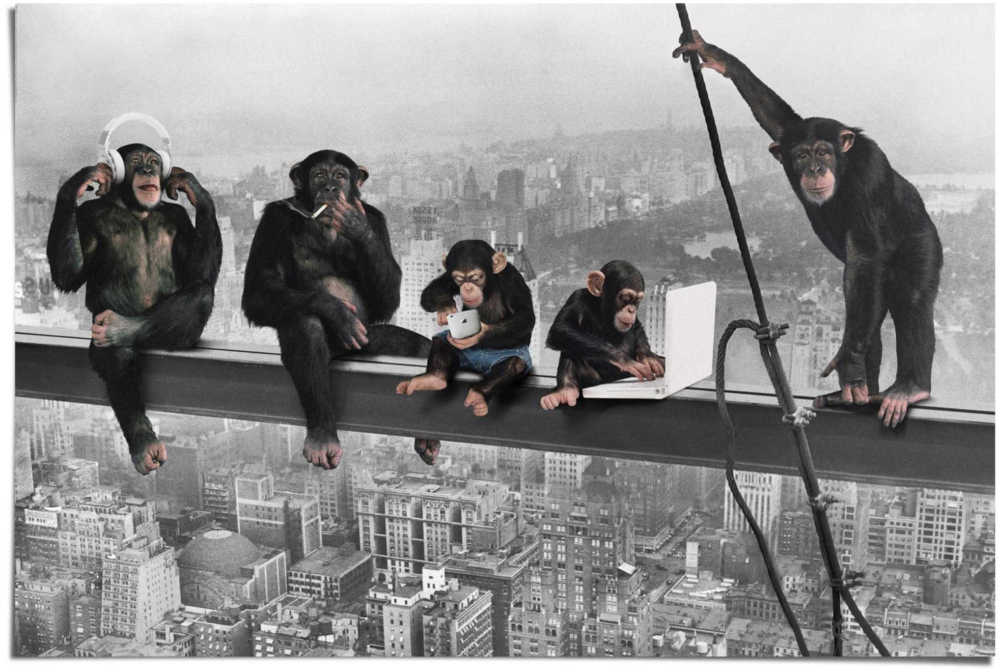 bestellen »Schimpanse Reinders! Stahlträger«, Shop im (1 Jelmoli-Online St.) Poster
