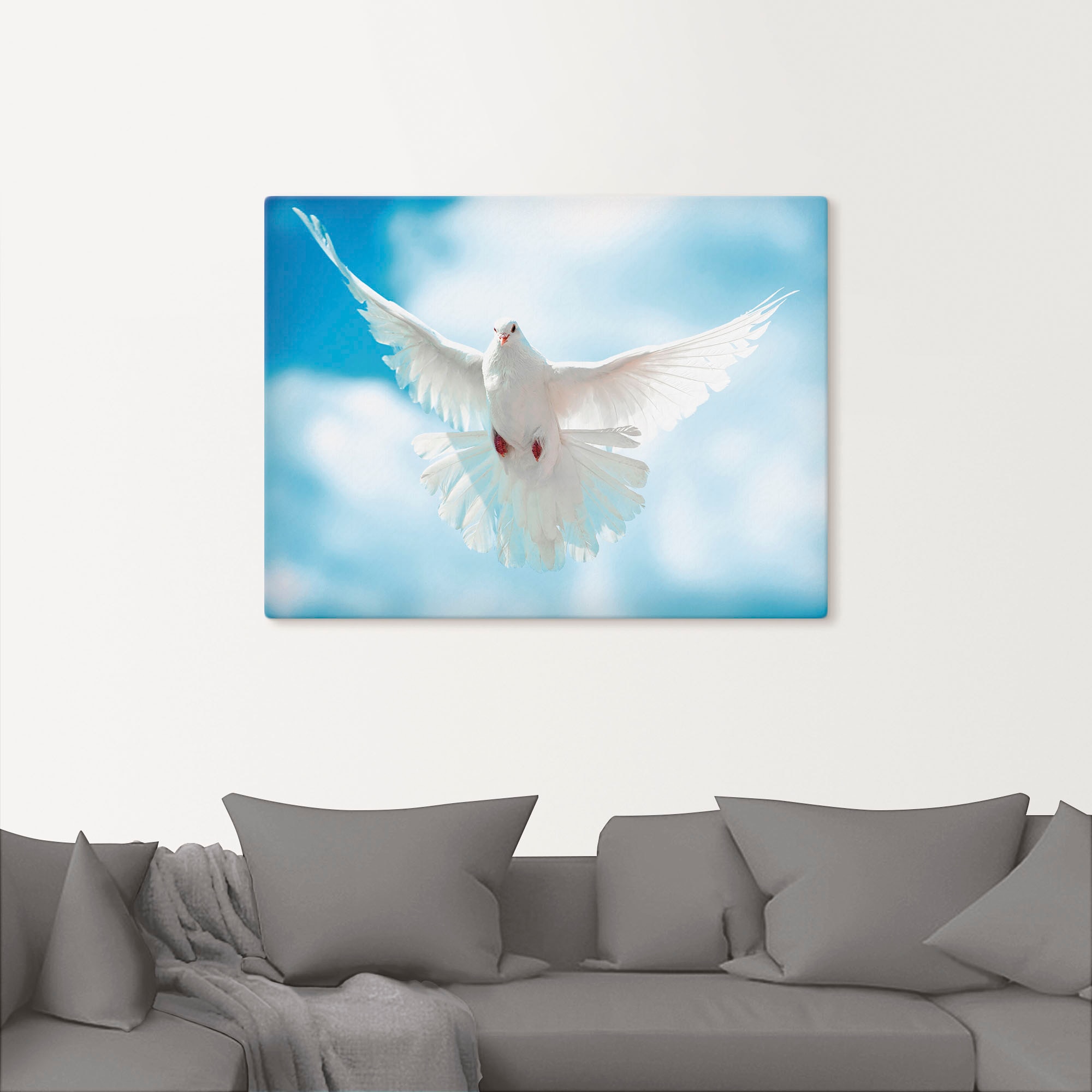 »Taube versch. Wandbild mit Jelmoli-Versand St.), als Artland online | oder bestellen Wandaufkleber Vögel, Poster Leinwandbild, Alubild, in Grössen (1 ausgebreiteten Flügeln«,
