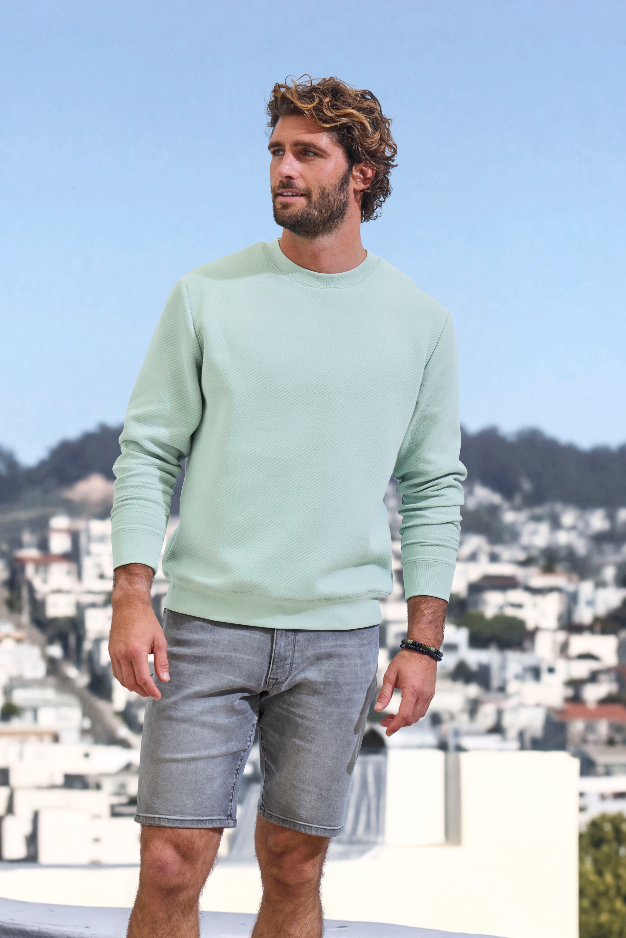 John Devin Sweatshirt, Langarm, Pullover mit Struktur, Rundhals, Baumwollmischung