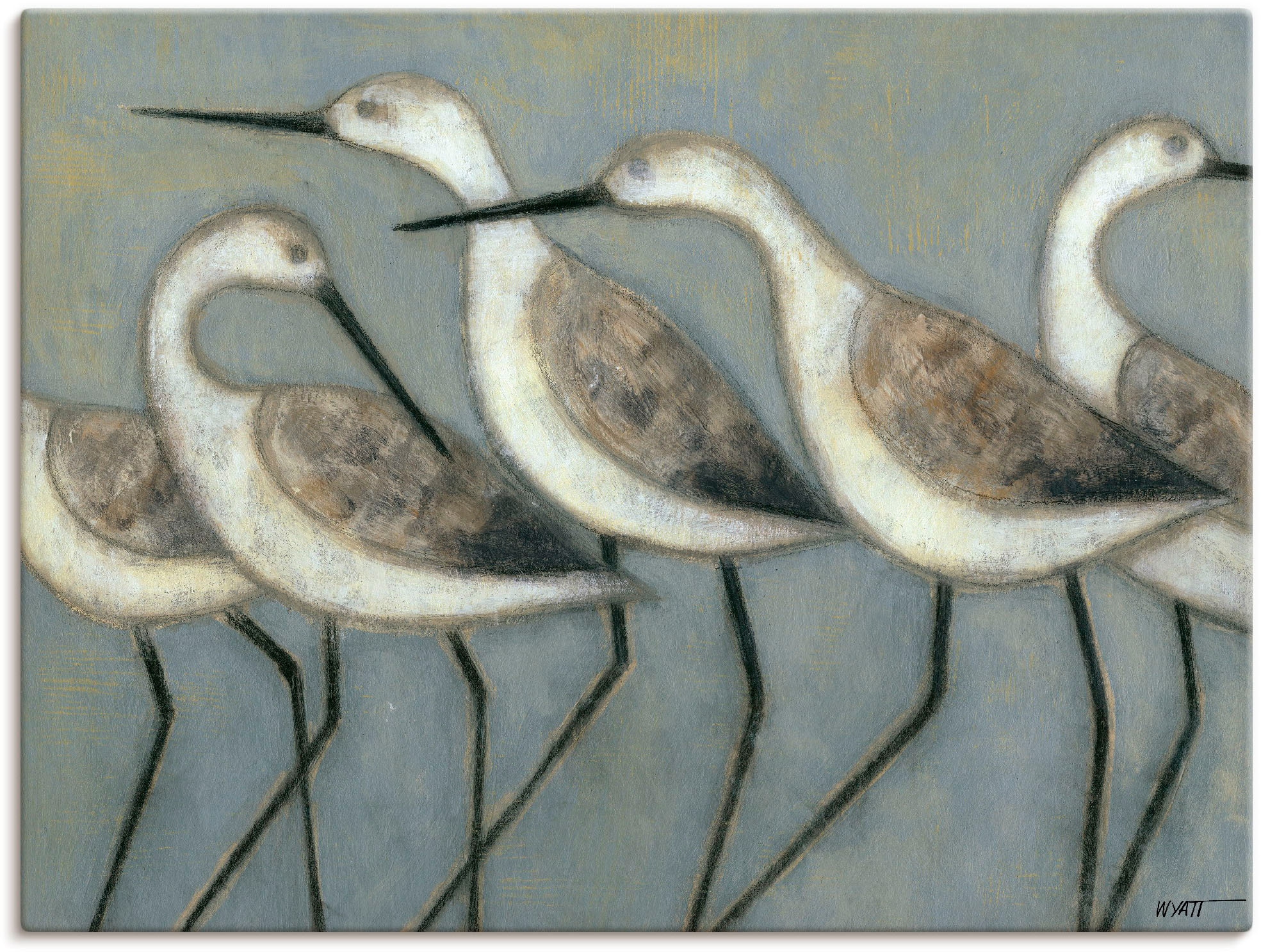 Artland Wandbild "Küstenvögel I" Vögel 1 Stk. tlg. als Leinwandbild, Poster in verschied. Grössen