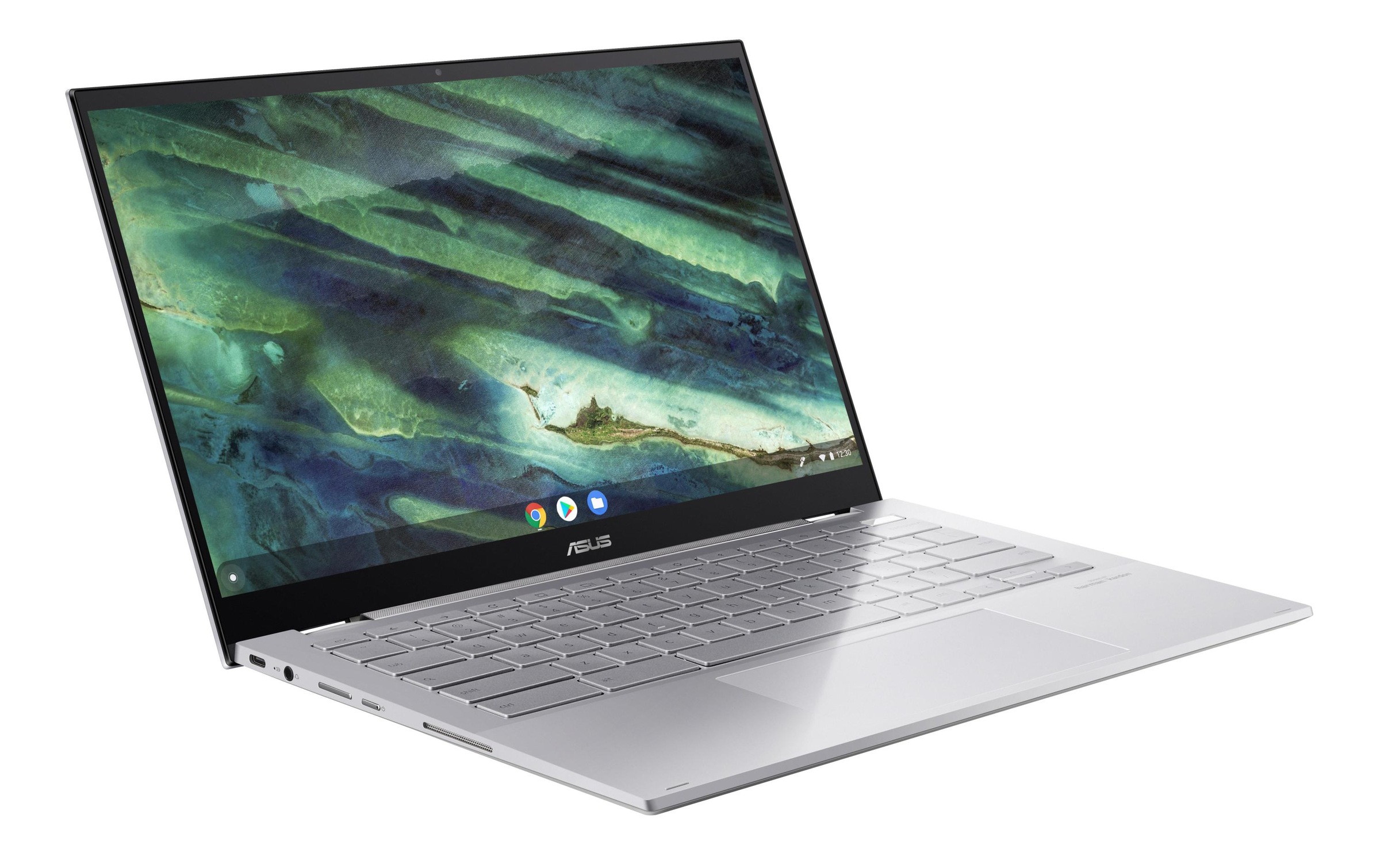 Asus Chromebook »Flip C436FA-E10221«, / 14 Zoll