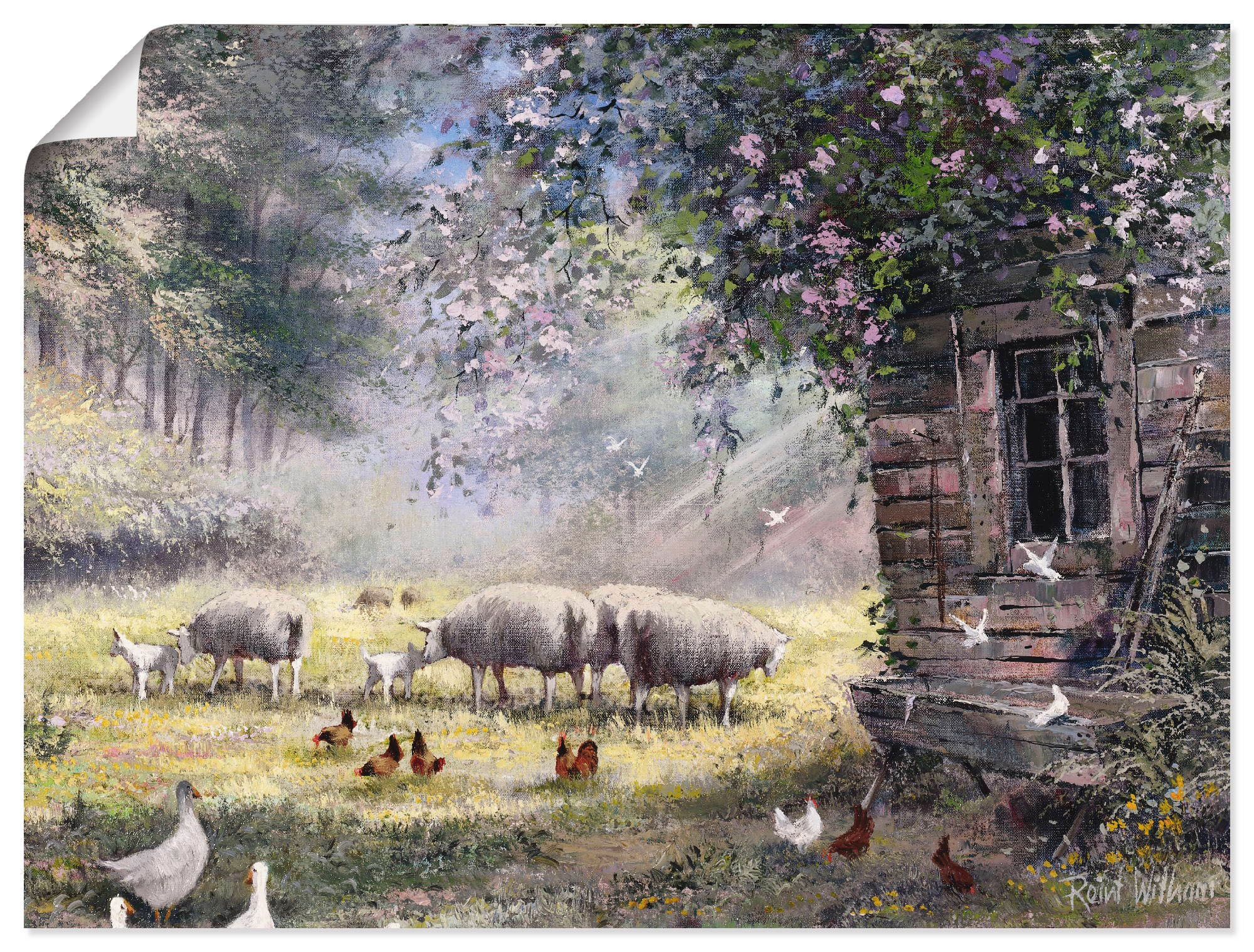 Artland Wandbild »Hühner und Schafe«, Haustiere, (1 St.), als Leinwandbild,  Wandaufkleber oder Poster in versch. Grössen online shoppen |  Jelmoli-Versand