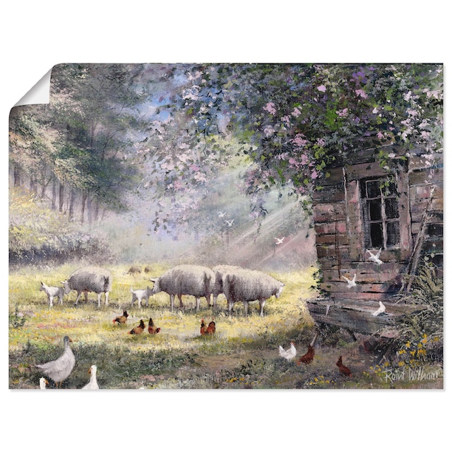 Artland Wandbild »Hühner und Schafe«, Haustiere, (1 St.), als Leinwandbild,  Wandaufkleber oder Poster in versch. Grössen online shoppen |  Jelmoli-Versand