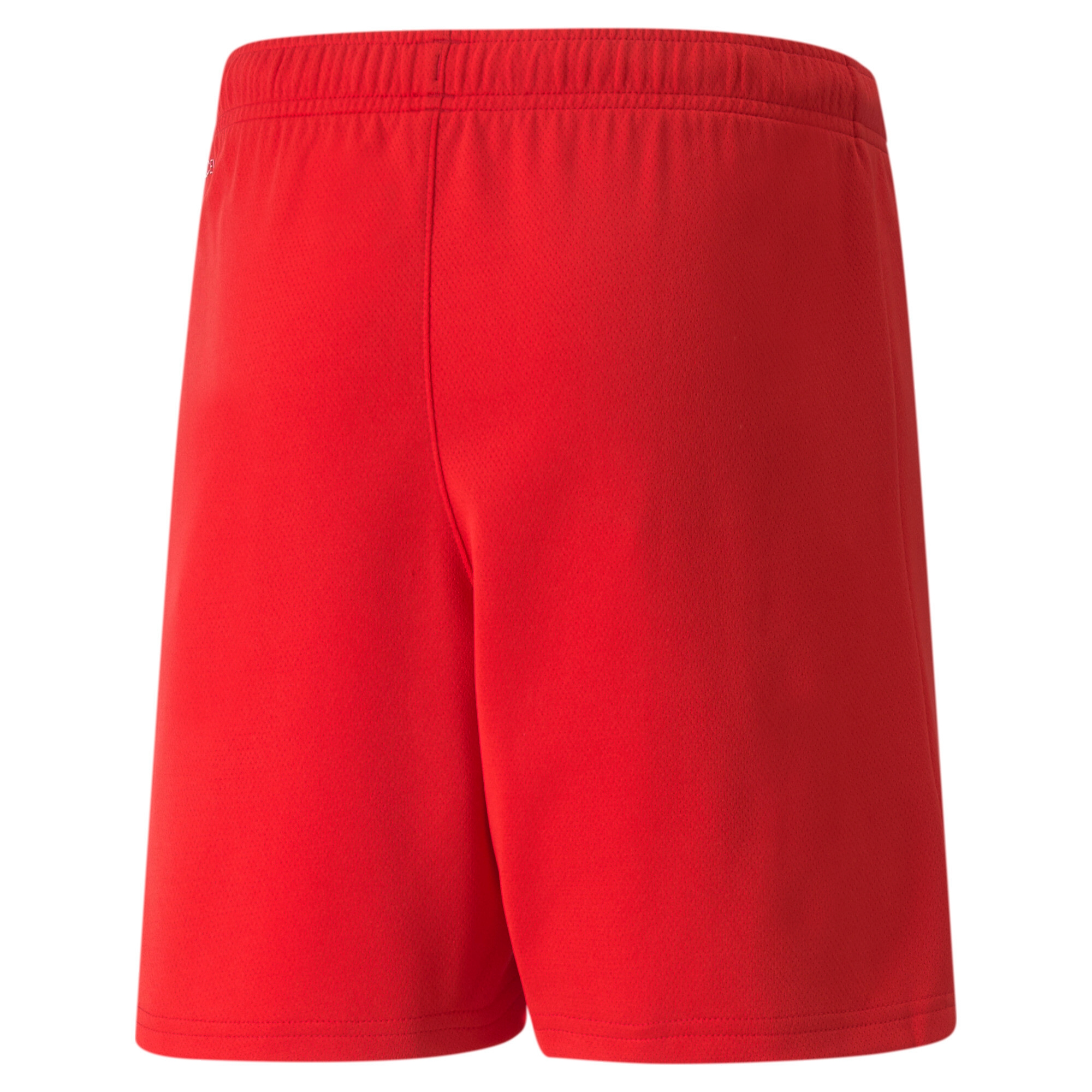 PUMA Trainingsshorts »TEAMRISE SHORT JR«