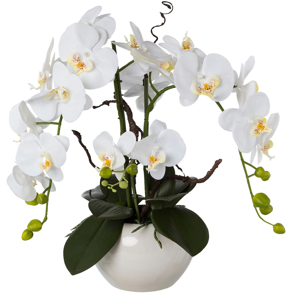 Creativ green Kunstorchidee »Phalaenopsis«, im Keramiktopf