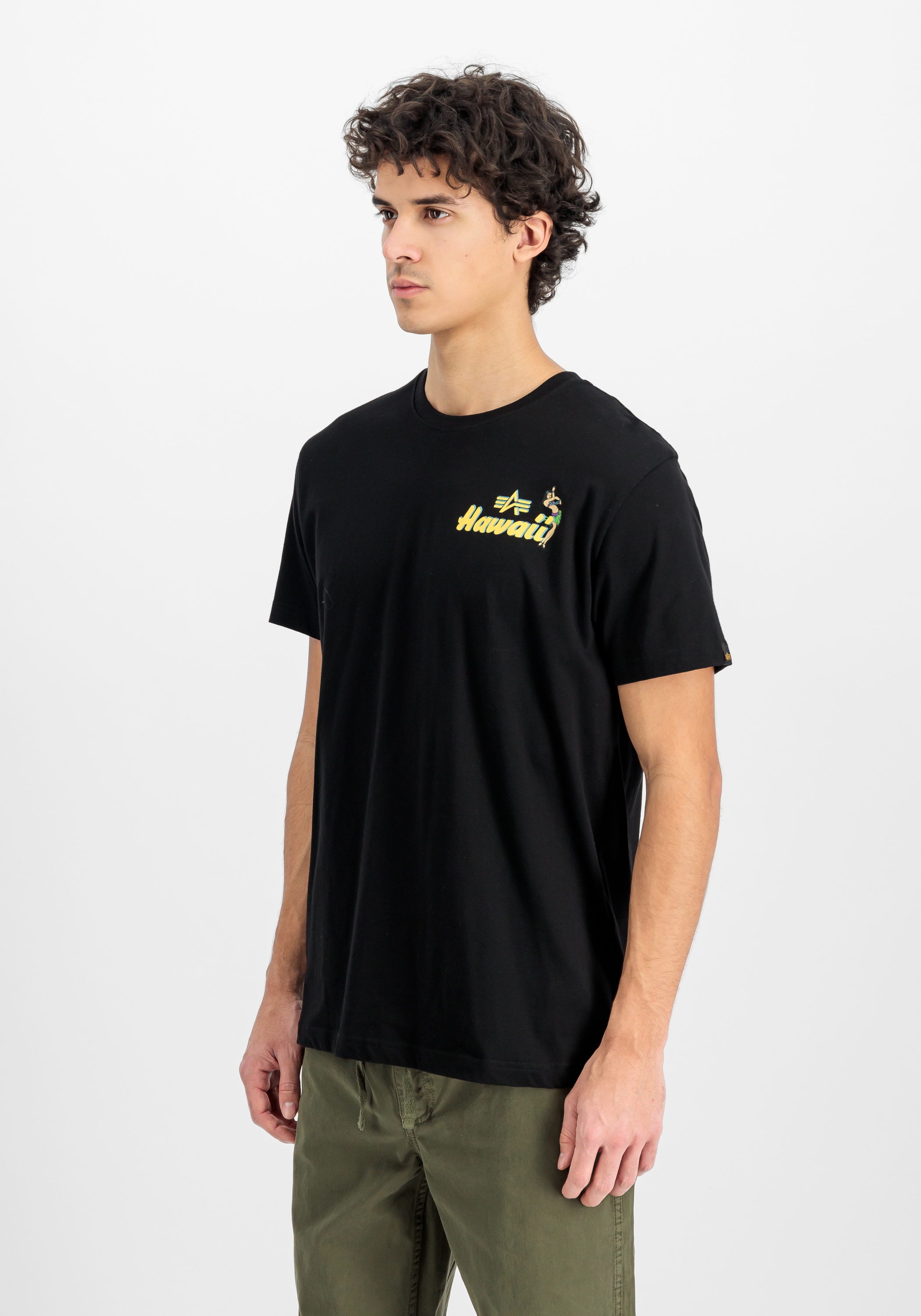 Alpha Industries T-Shirt »Alpha Industries Men - T-Shirts Pearl Harbor Backprint T-Shirt«