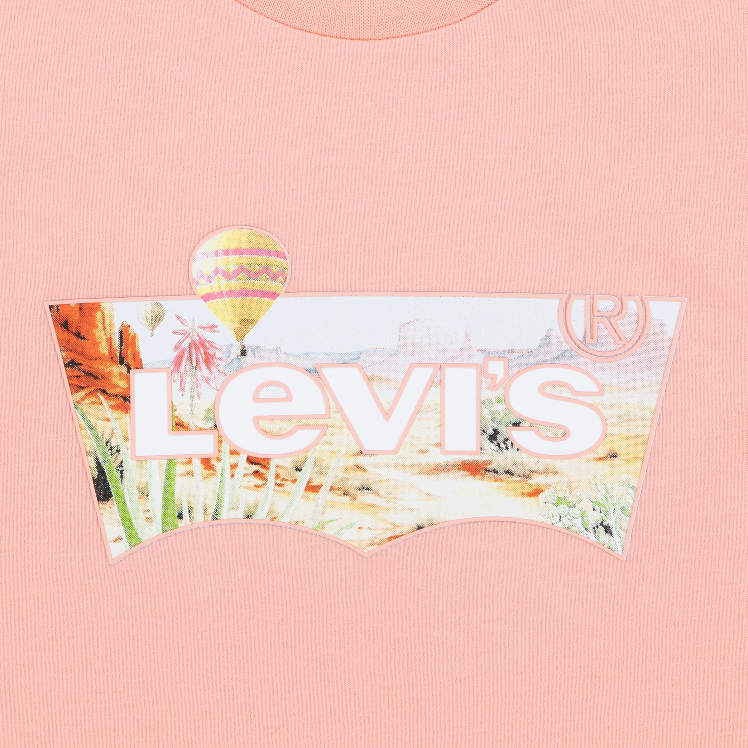 Levi's® Kids T-Shirt »LVG HOT AIR BALLOON BATWING TE«