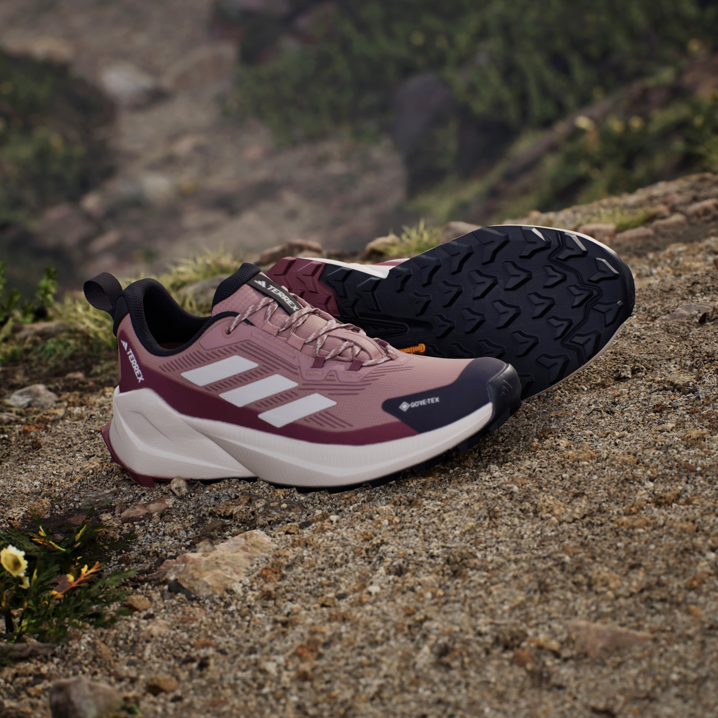 adidas TERREX Wanderschuh »TERREX TRAILMAKER 2.0 GORE-TEX«