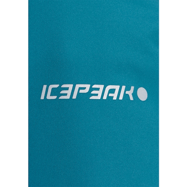 Icepeak Softshelljacke »D SOFTSHELLJACKE BOISE«, mit Kapuze, Wasserdicht &  Winddicht online shoppen bei Jelmoli-Versand Schweiz