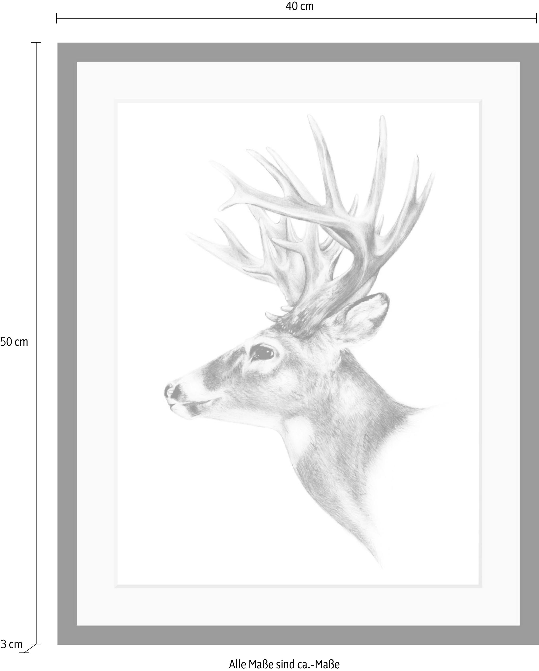 queence Bild »Hirsch«, Hirsch-Tiere-Wildtiere-Hirschbilder-Schwarz-Weiss, HD Premium Poster-Druck inkl. Holzrahmen
