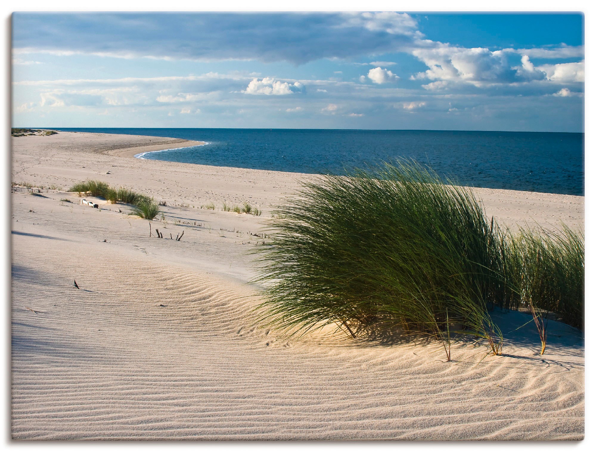 Artland Wandbild »Gras am Strand«, Strand, (1 St.), als Alubild,  Leinwandbild, Wandaufkleber oder Poster in versch. Grössen online bestellen  | Jelmoli-Versand