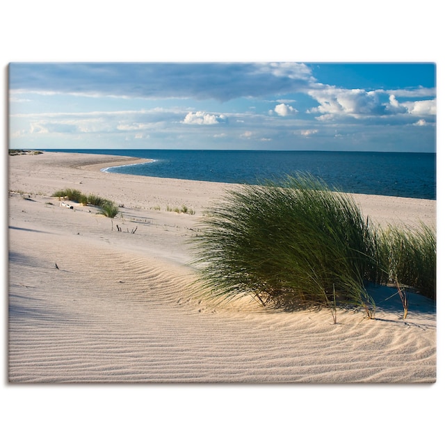 Artland Wandbild »Gras am Strand«, Strand, (1 St.), als Alubild,  Leinwandbild, Wandaufkleber oder Poster in versch. Grössen online bestellen  | Jelmoli-Versand