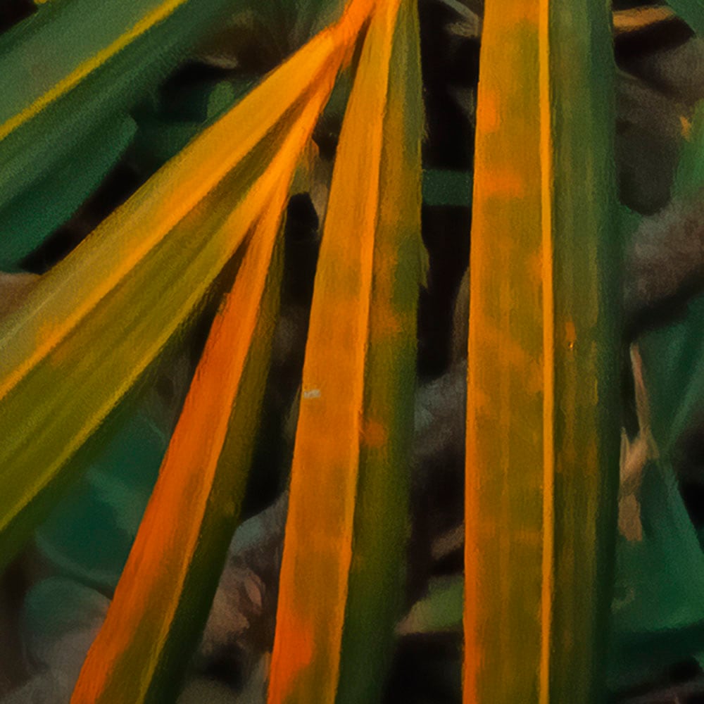Komar Fototapete »Digitaldruck Vlies - Amazon Fern - Grösse 400 x 250 cm«, bedruckt, Wohnzimmer, Schlafzimmer