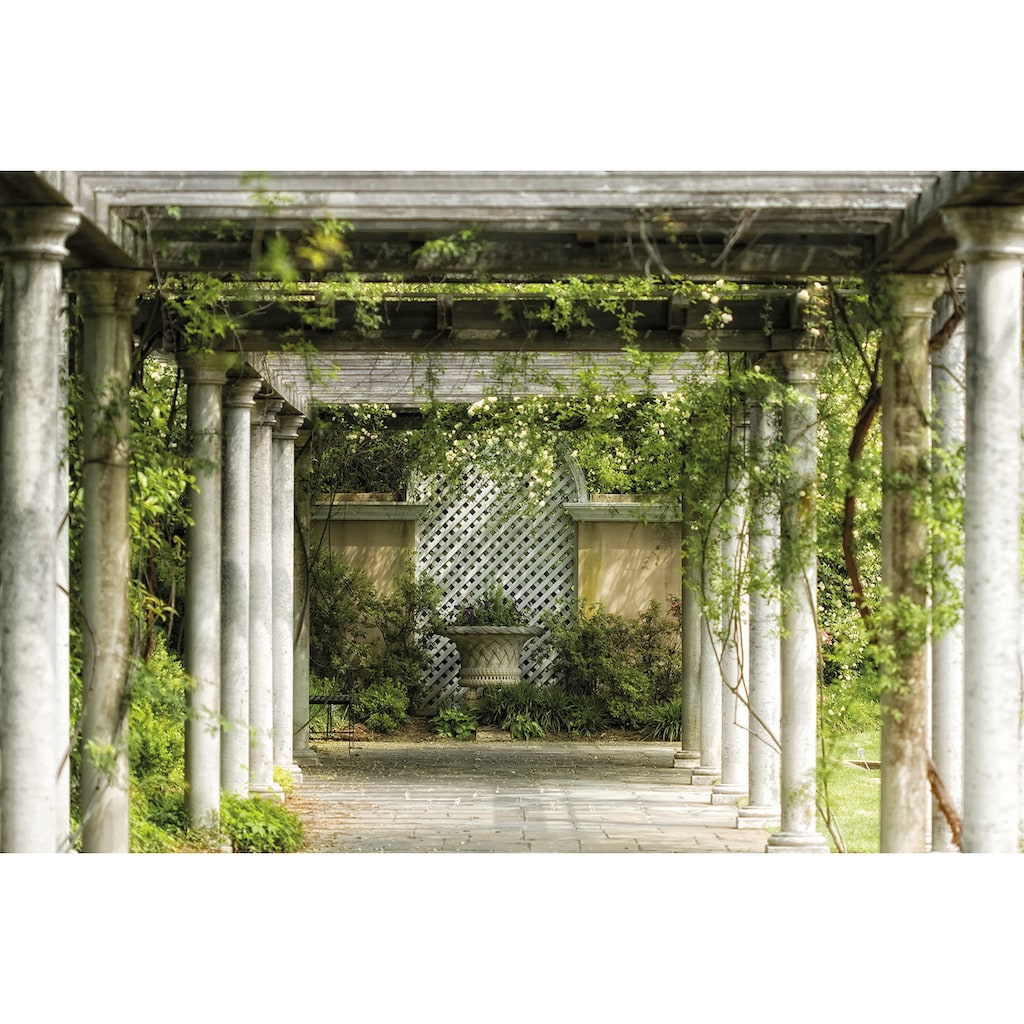 Papermoon Fototapete »Walkway in Garden«